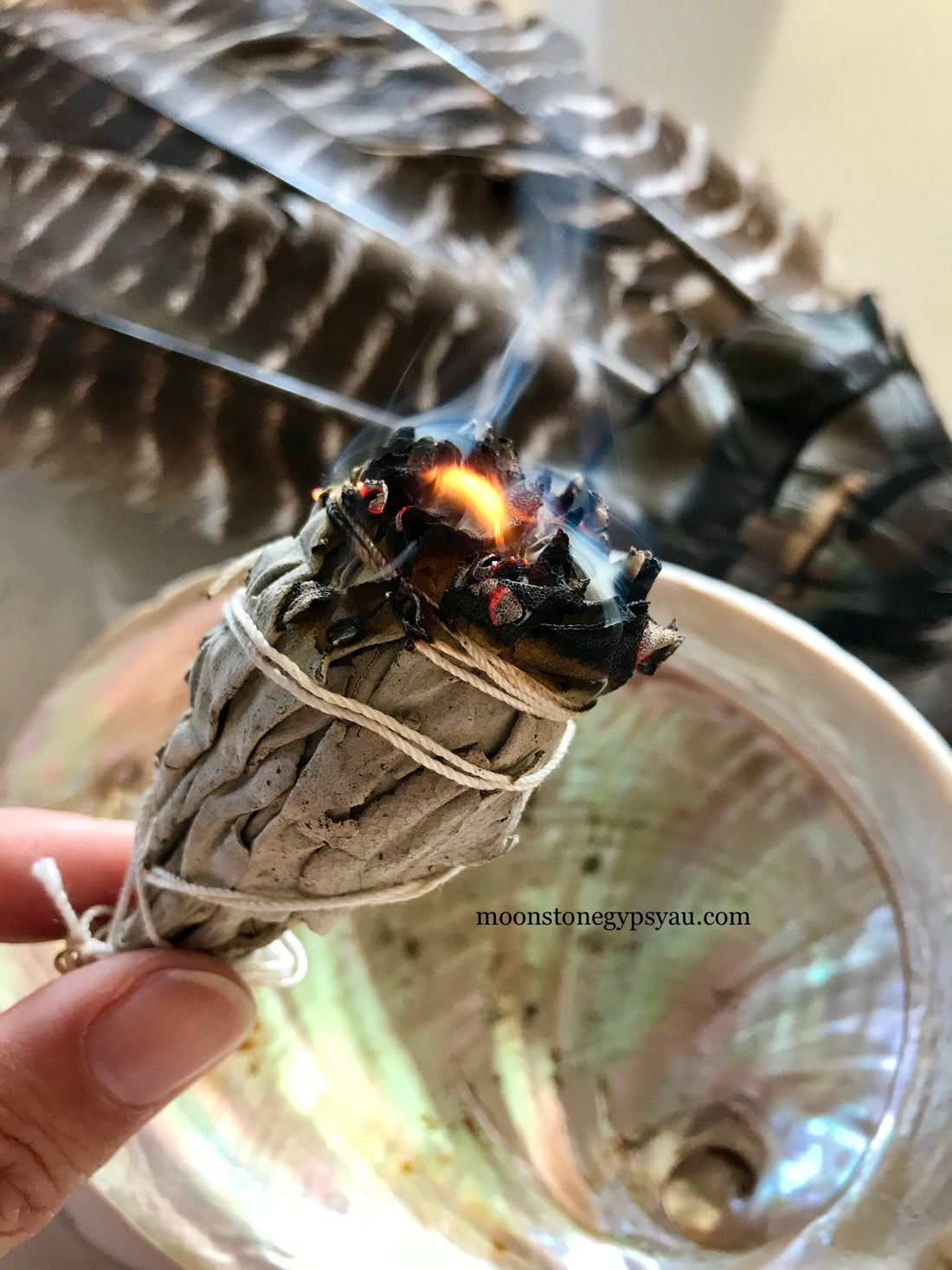 The Spirituality of Abalone Shells & Cleansing