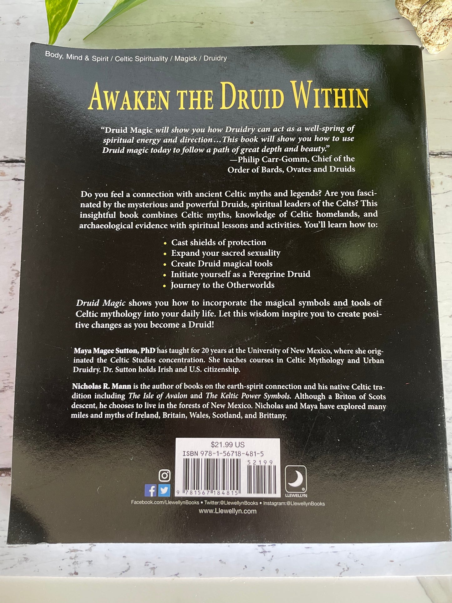 Druid Magic ~ The Practice of Celtic Wisdom