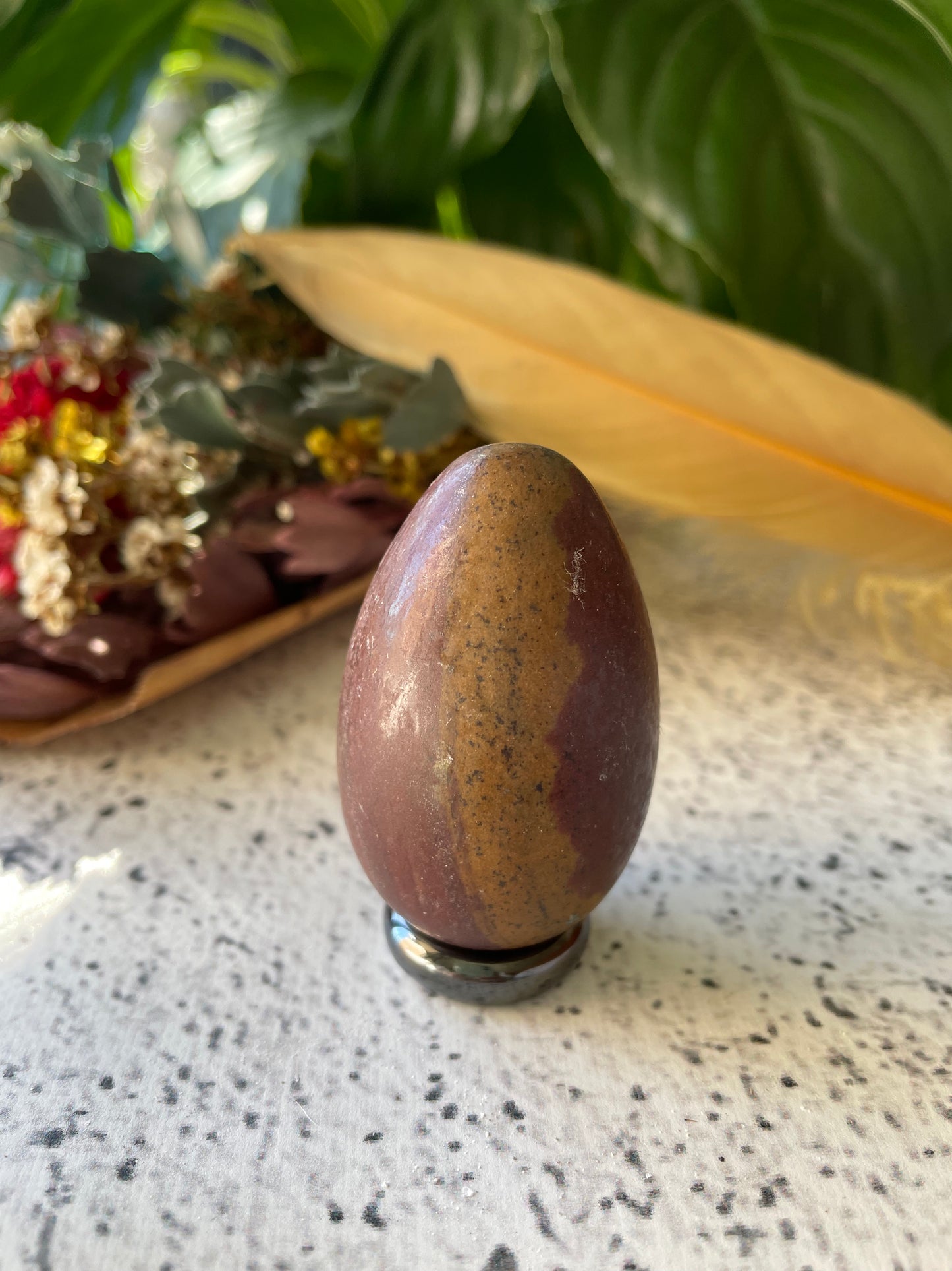 Shiva Narmada Egg includes Hematite Holder