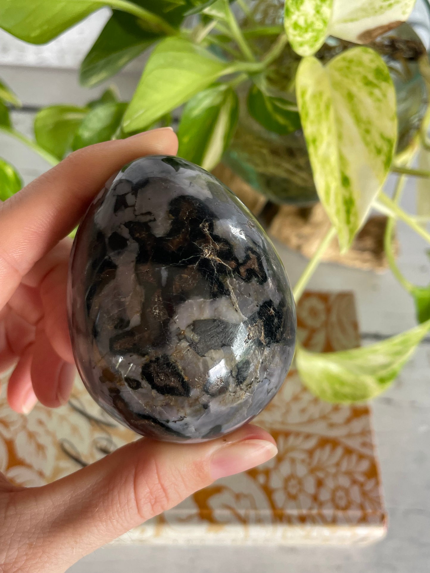 Indigo Gabbro Egg Includes Hematite Ring