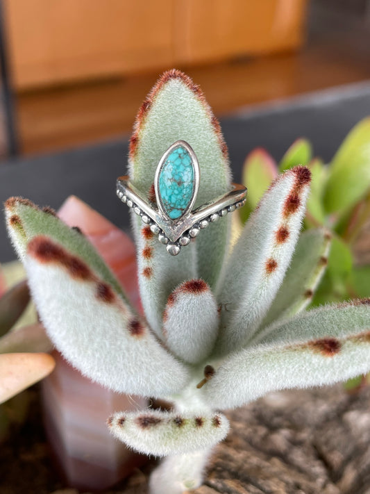 Nevada Turquoise Silver Ring