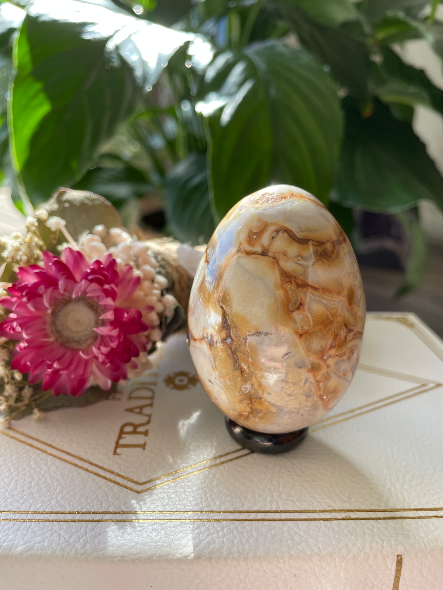 Spotted Agate Egg Includes Hematite Ring