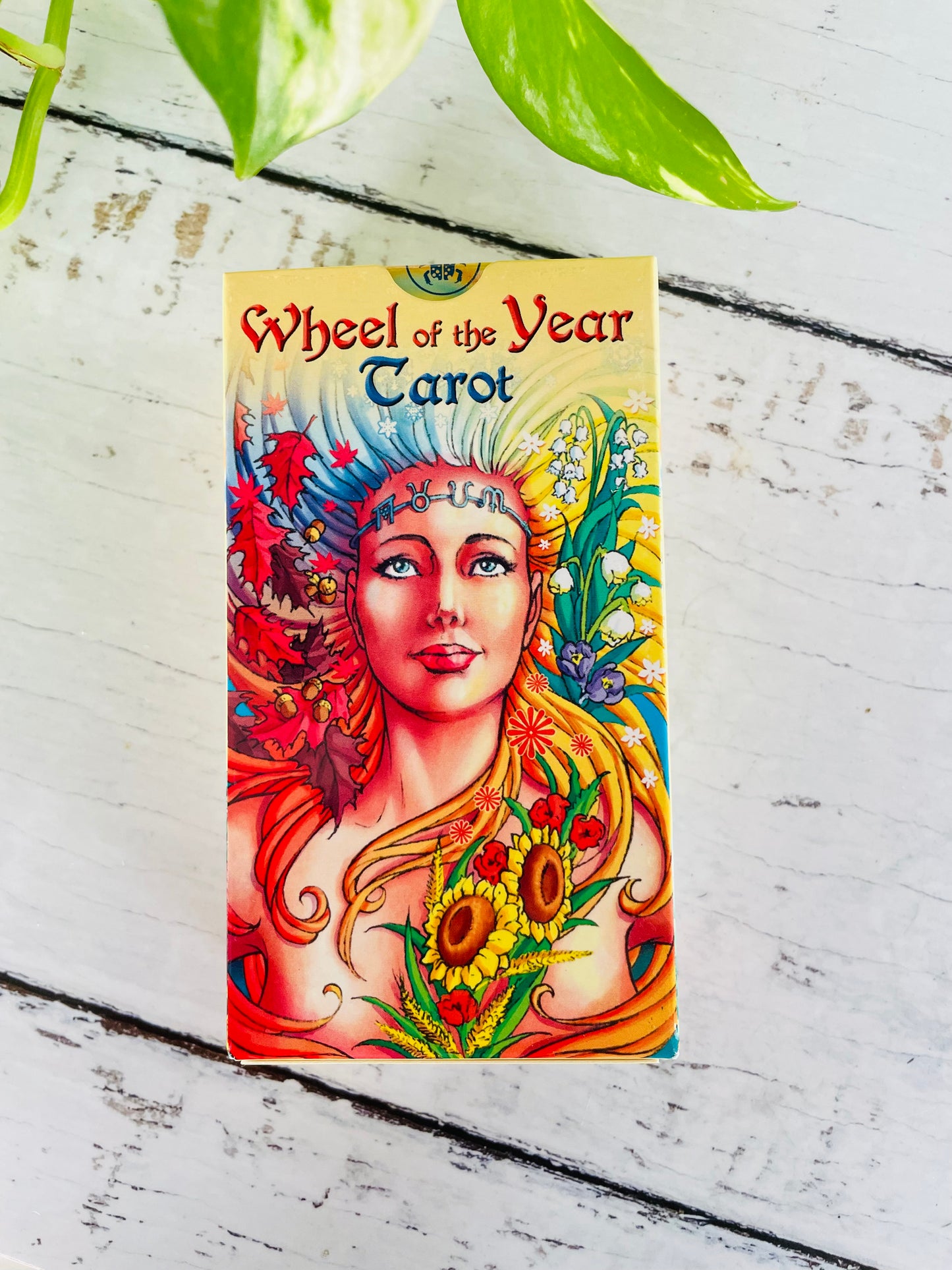 Wheel of the Year Tarot Deck