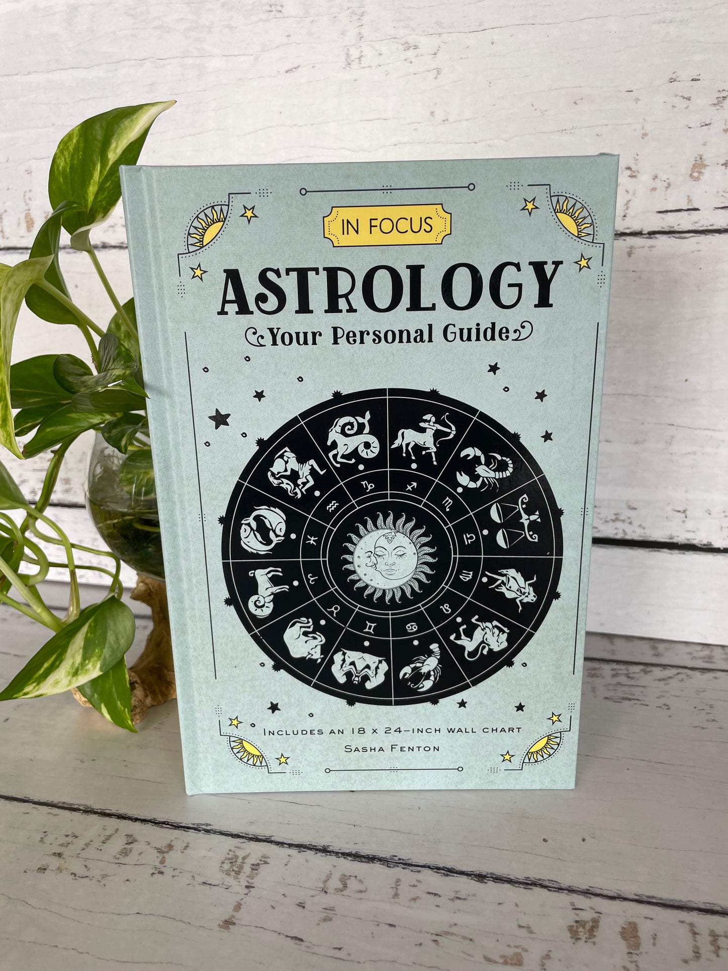 In Focus ~ Astrology