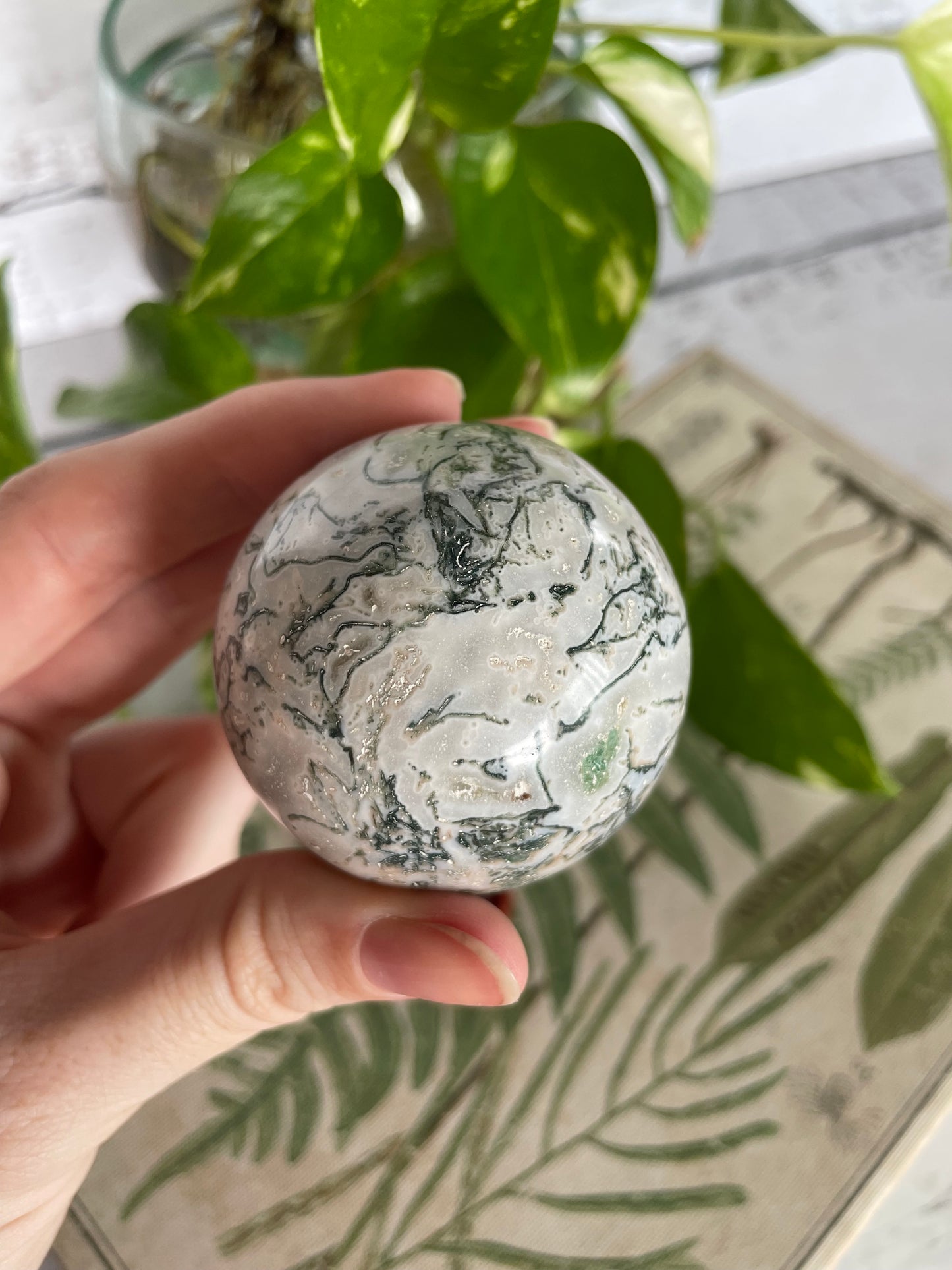 Tree Agate Sphere Includes Wooden Holder