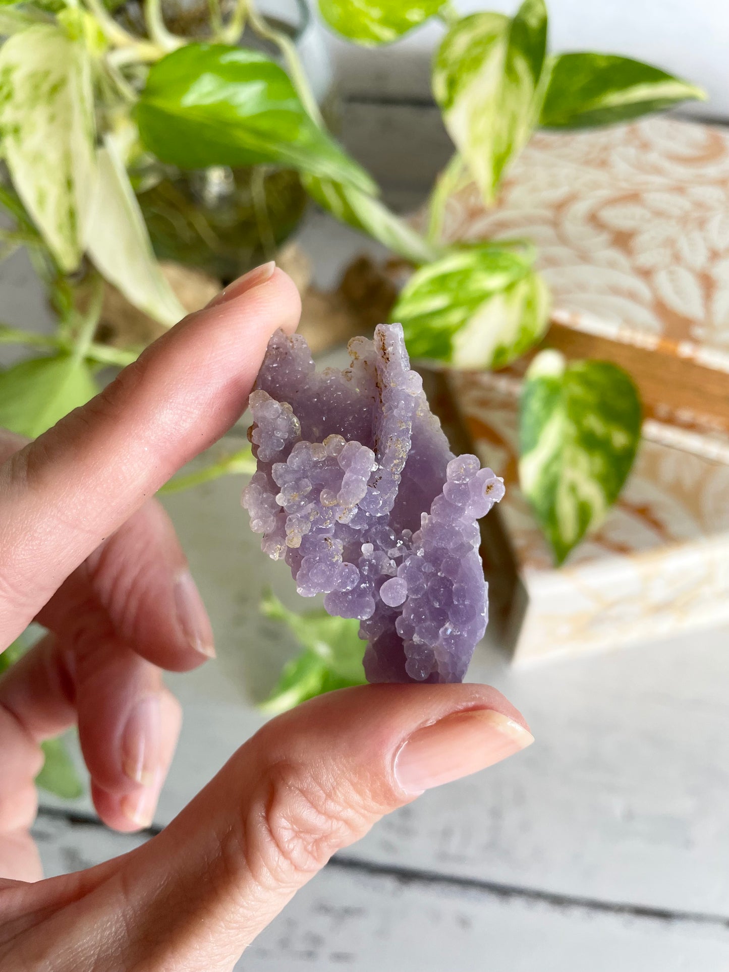 Grape Agate /Botryoidal Purple Chalcedony