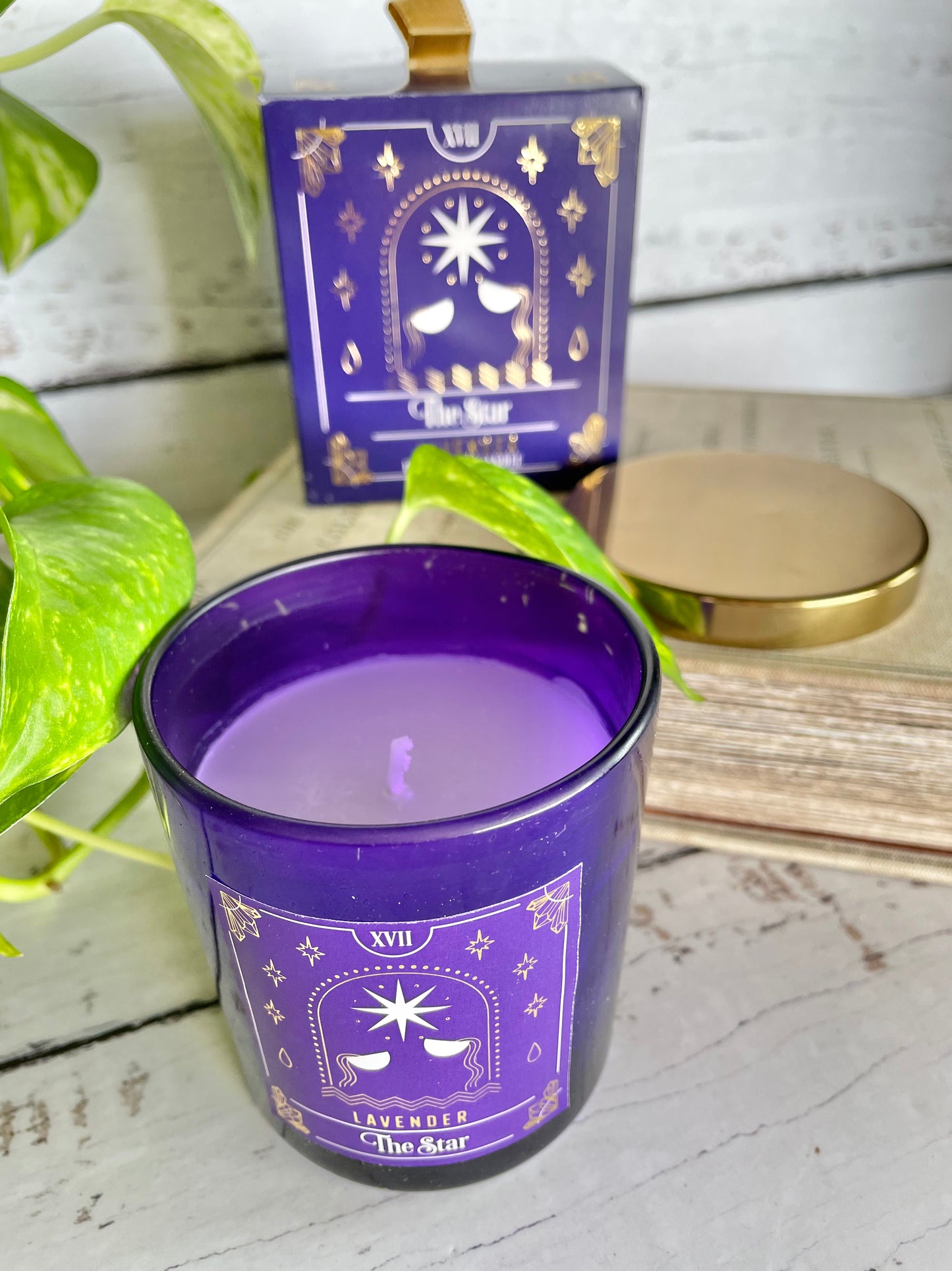 Tarot Candle Lavender ~ The Star