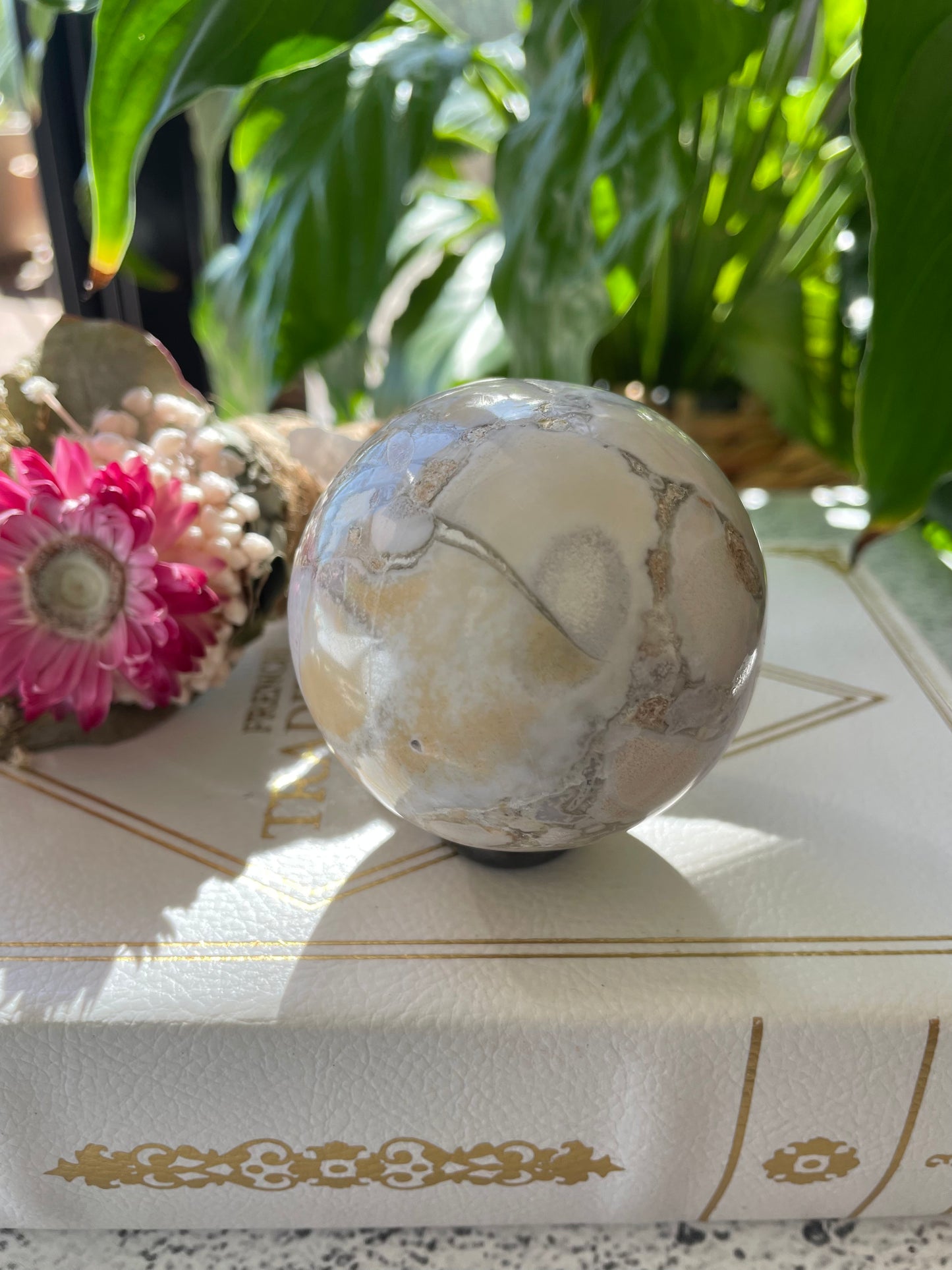 Spotted Agate Sphere Includes Wooden Holder