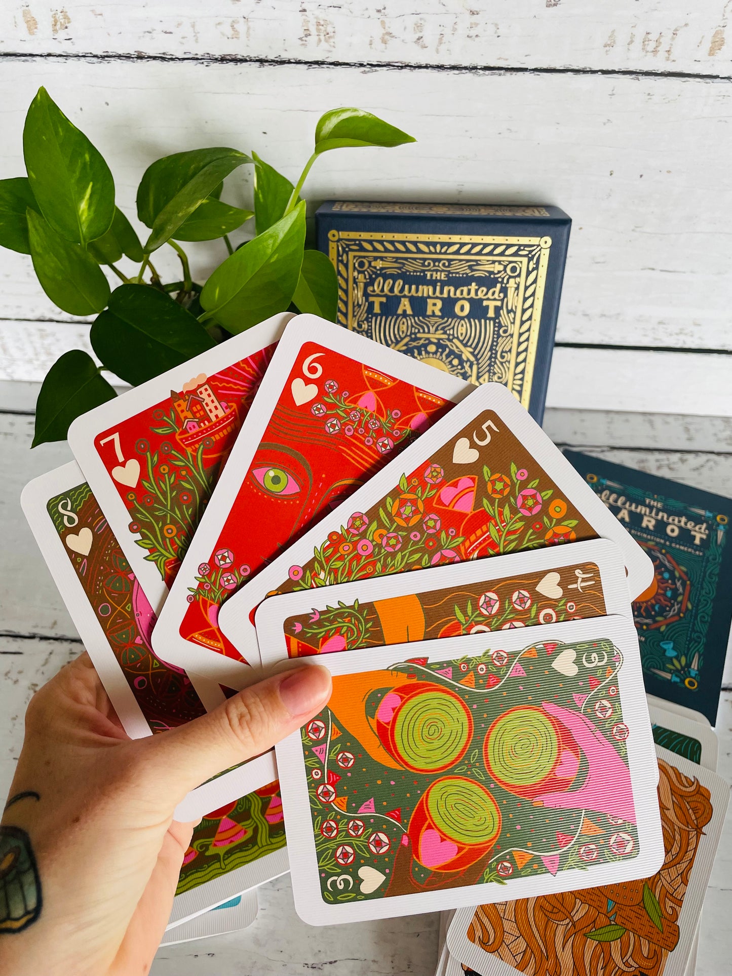 The Iluminated Tarot cards for Divination