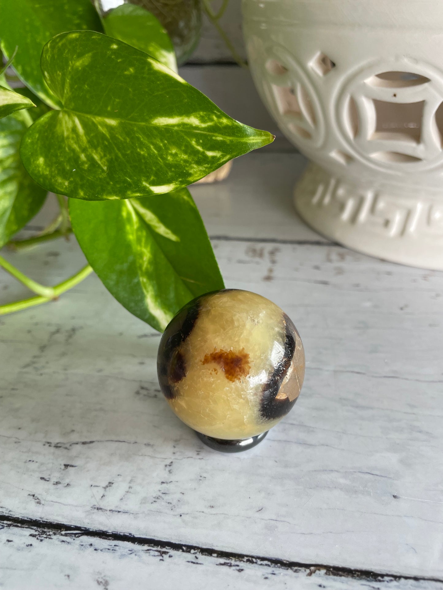 Septarian Sphere Includes Wooden Holder