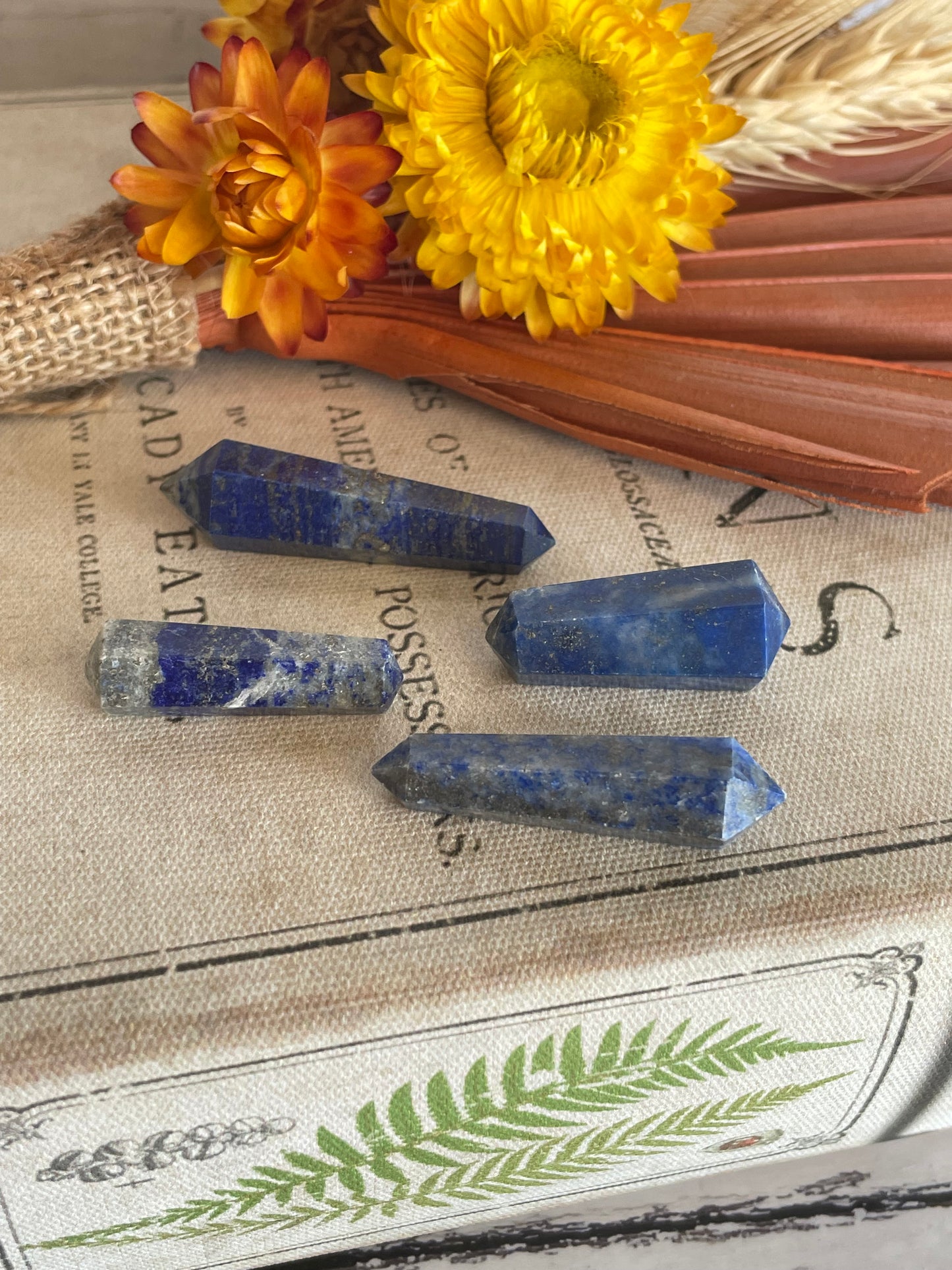 Double Healer Points ~ Lapis Lazuli