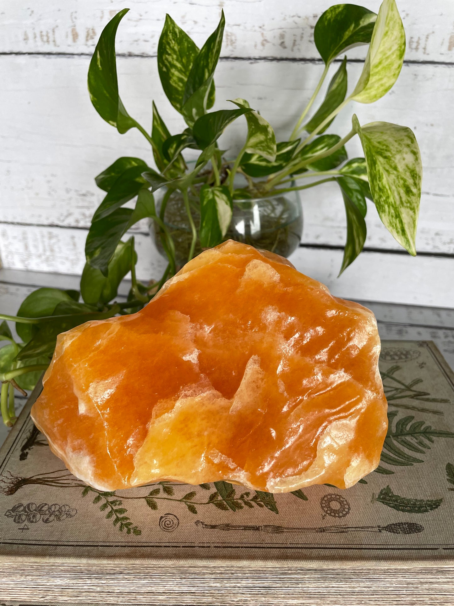 Orange Calcite ~ 1.9kgs