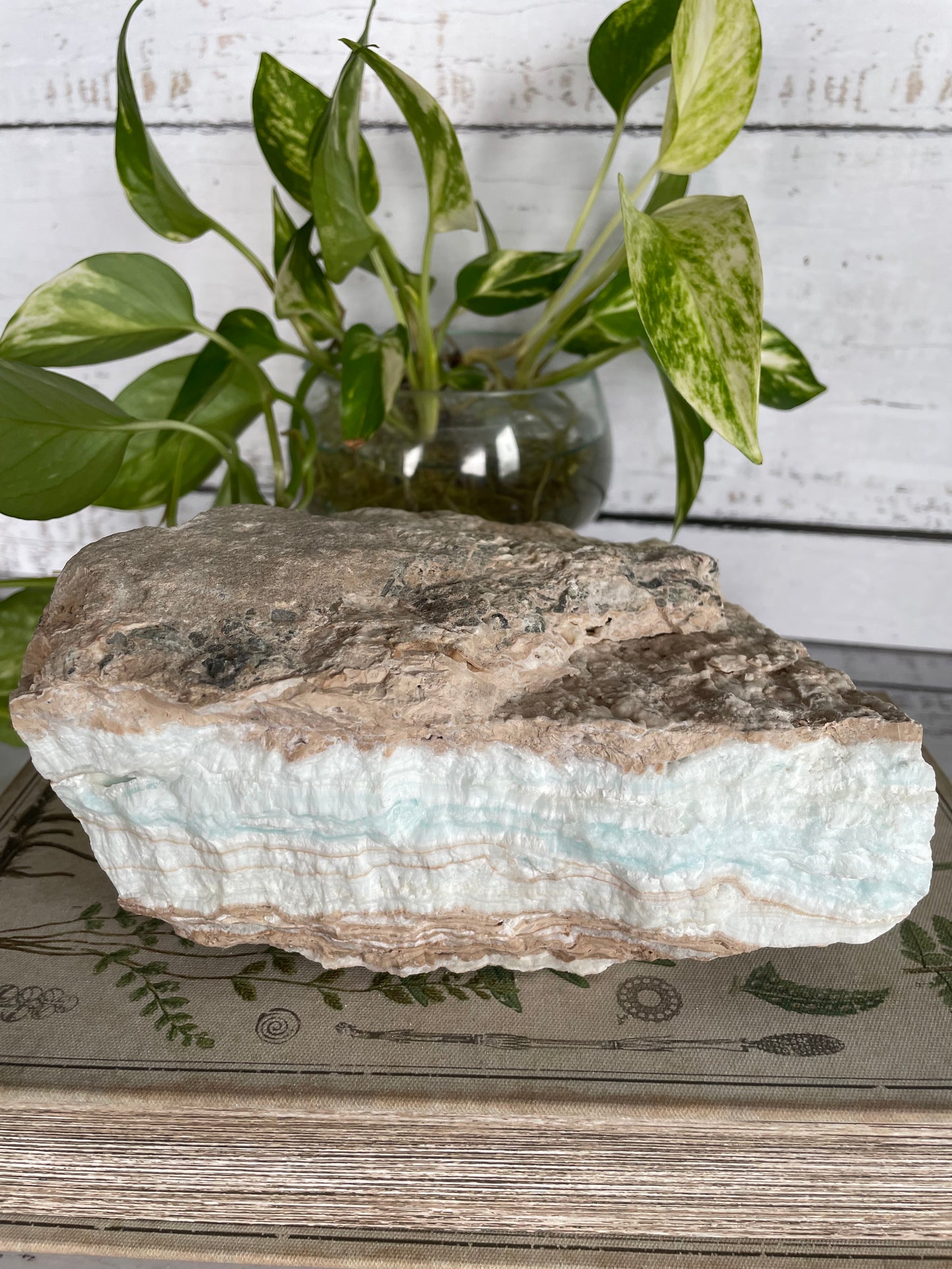 Raw Caribbean Calcite ~ 2.8kgs