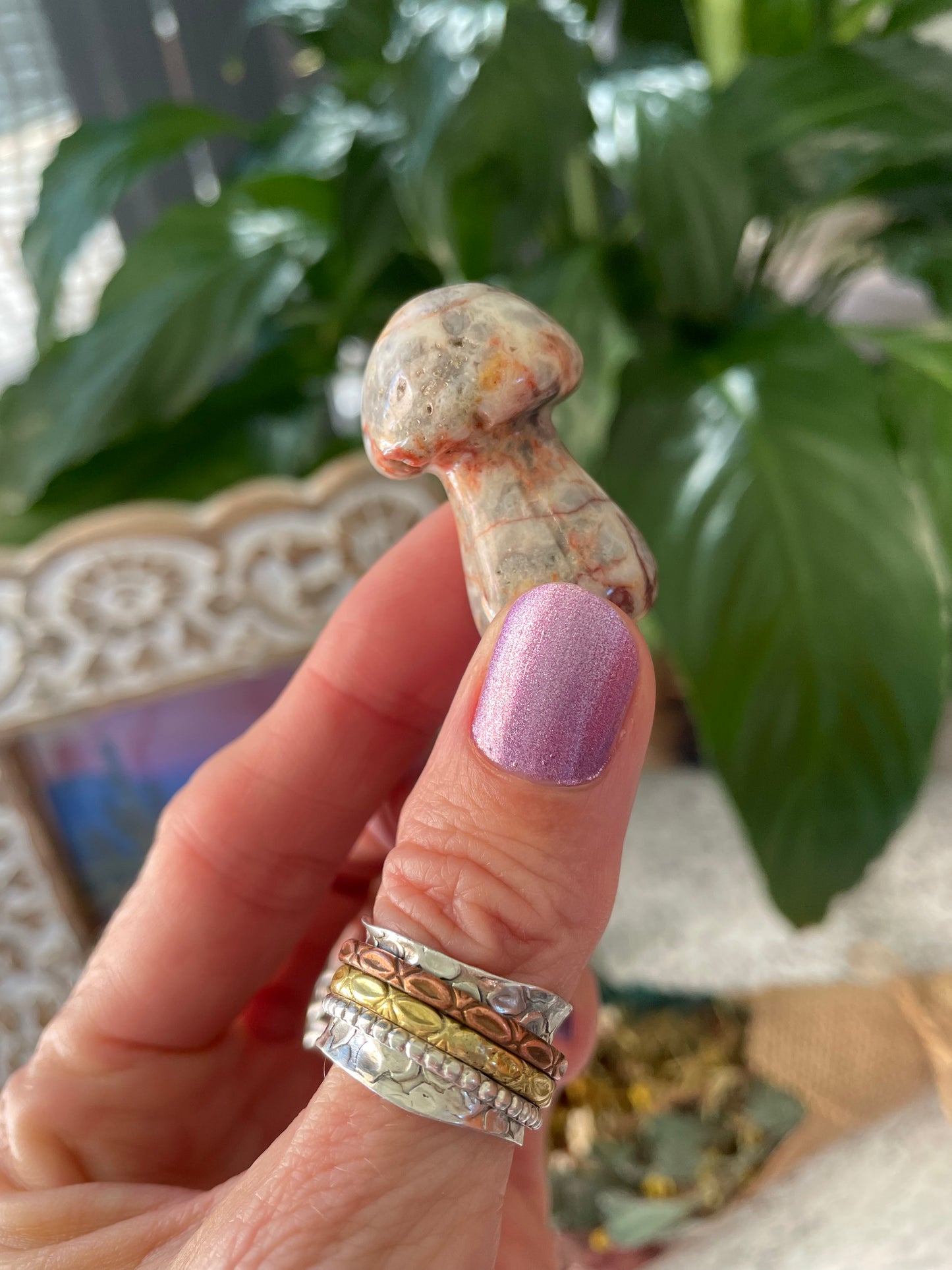 Intuitively chosen ~ Crazy Lace Agate Mushroom