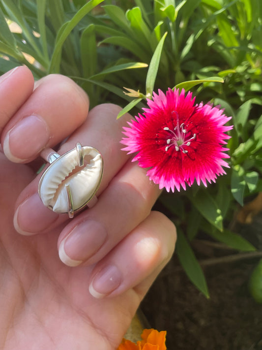 Cowrie Shell Silver Ring