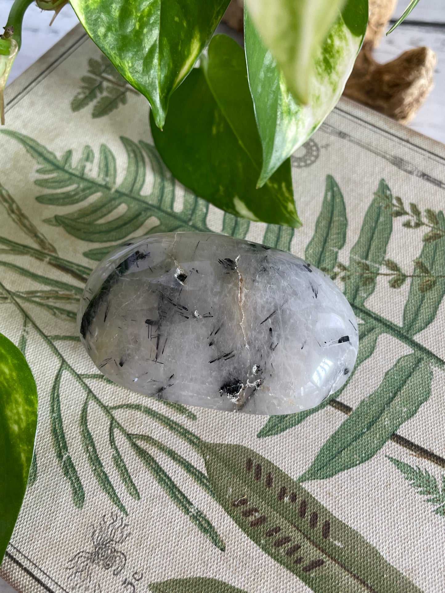 Tourmaline In Quartz Pillow Palm Stone