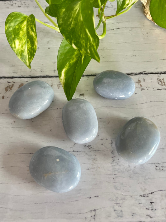 INTUITIVELY CHOSEN ~ Angelite Palm Stone