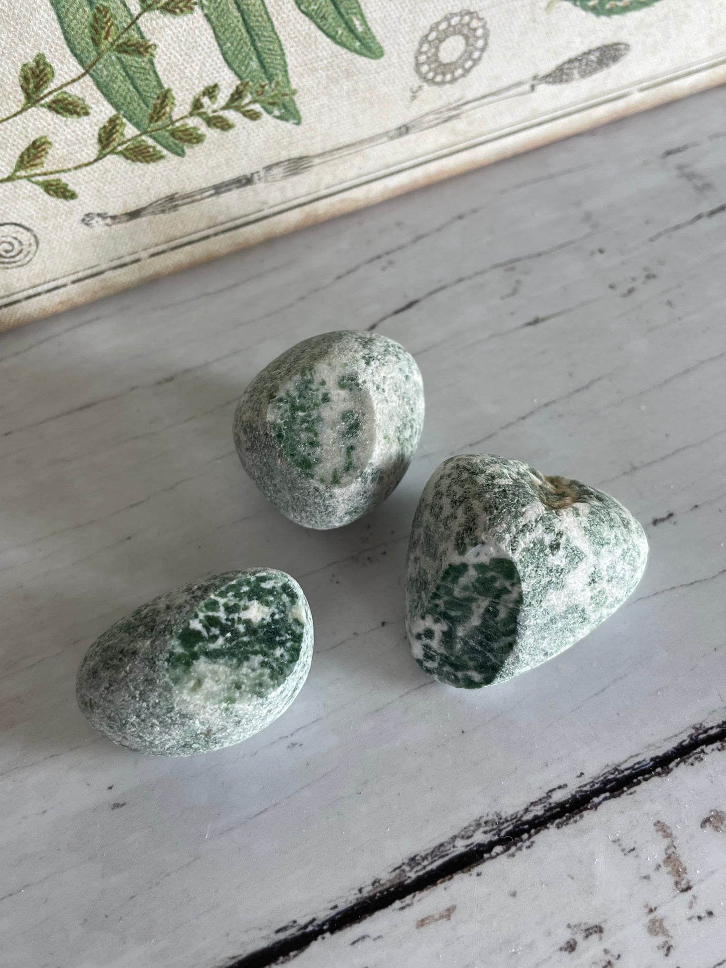 Seer Stone /Ema Egg ~ Tree Agate