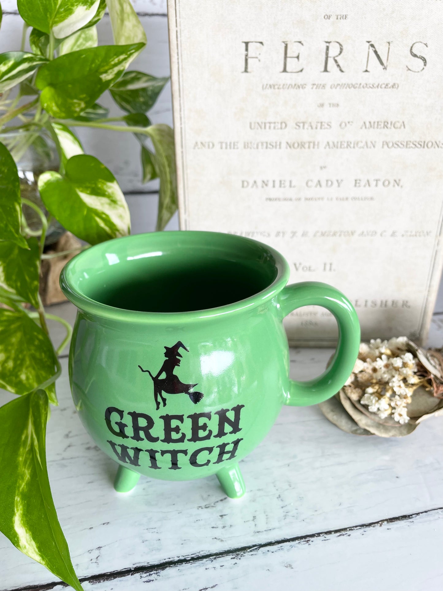 Green Witch Mug