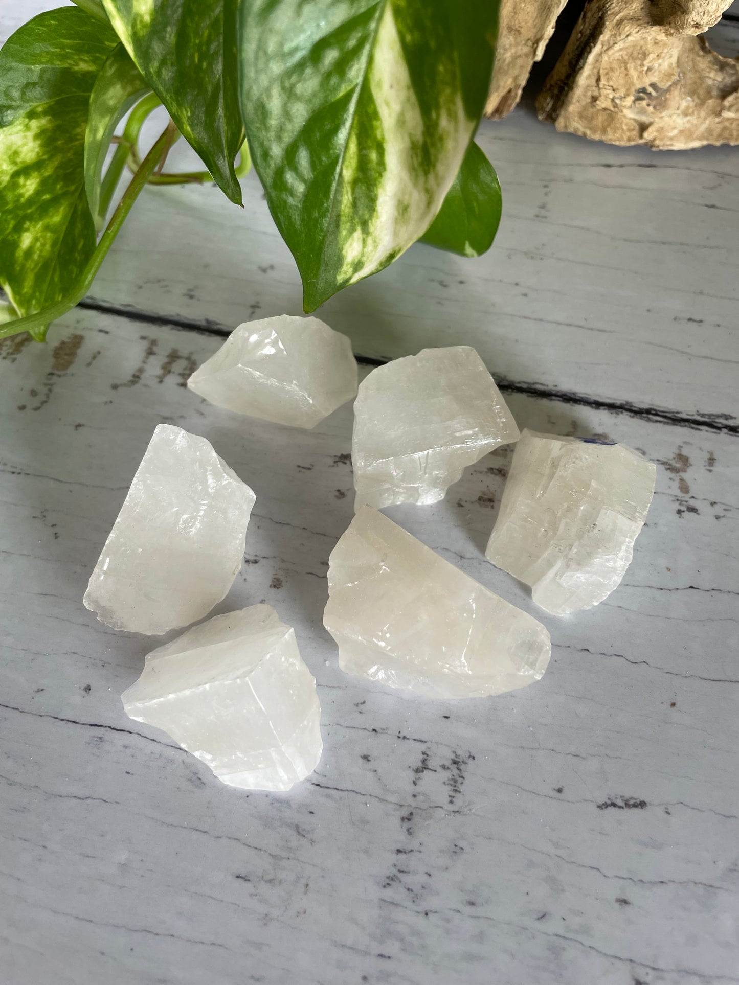 INTUITIVELY CHOSEN ~ White Calcite