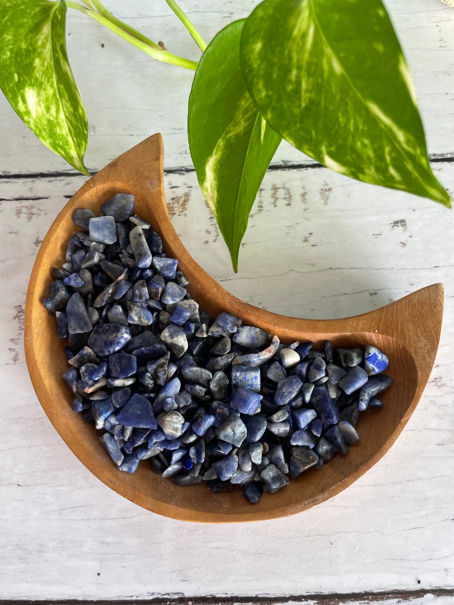 Crystal Chips ~ Sodalite 100g Pouch