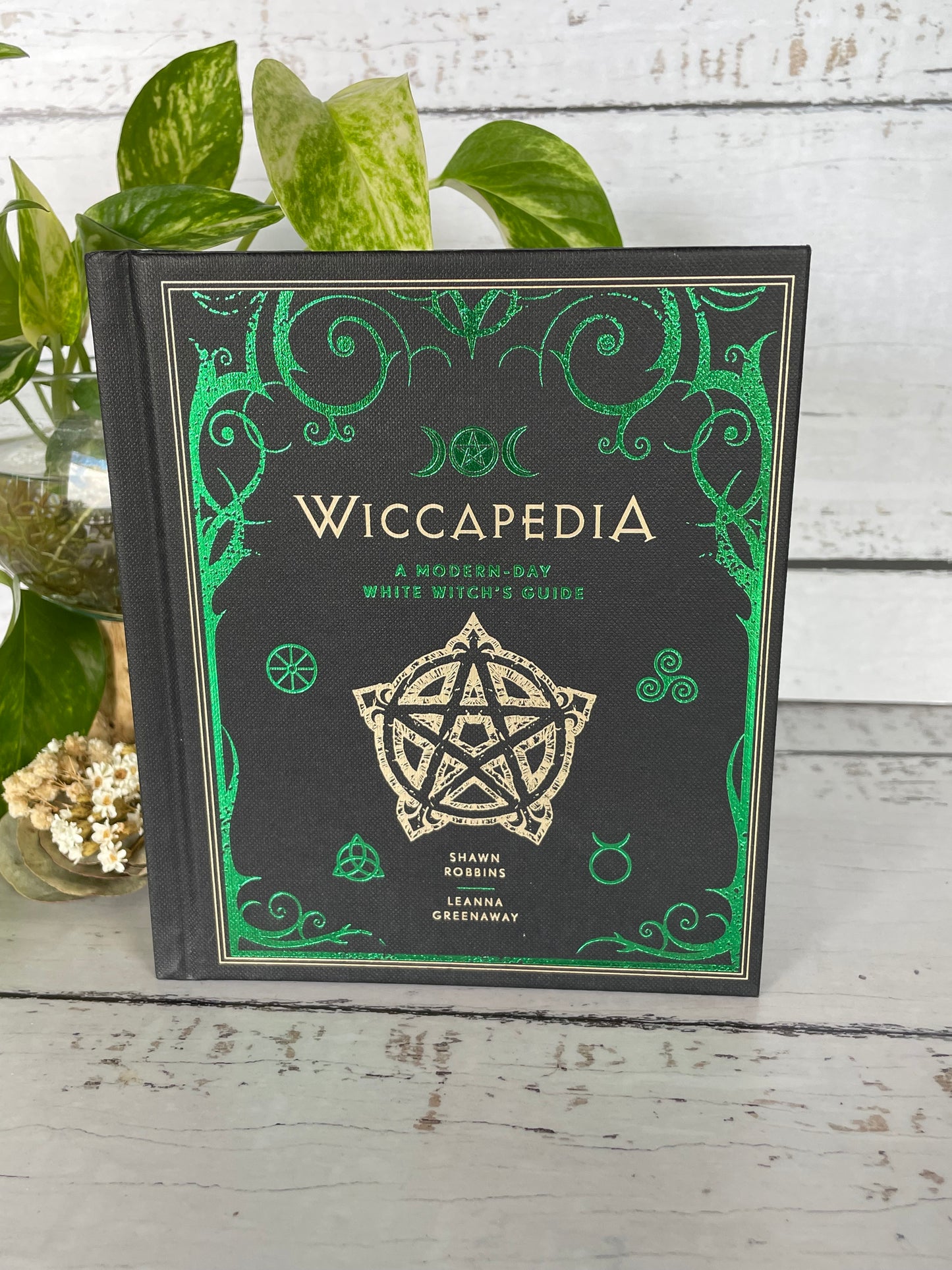 Wiccapedia ~ A Modern-Day White Witch's Guide