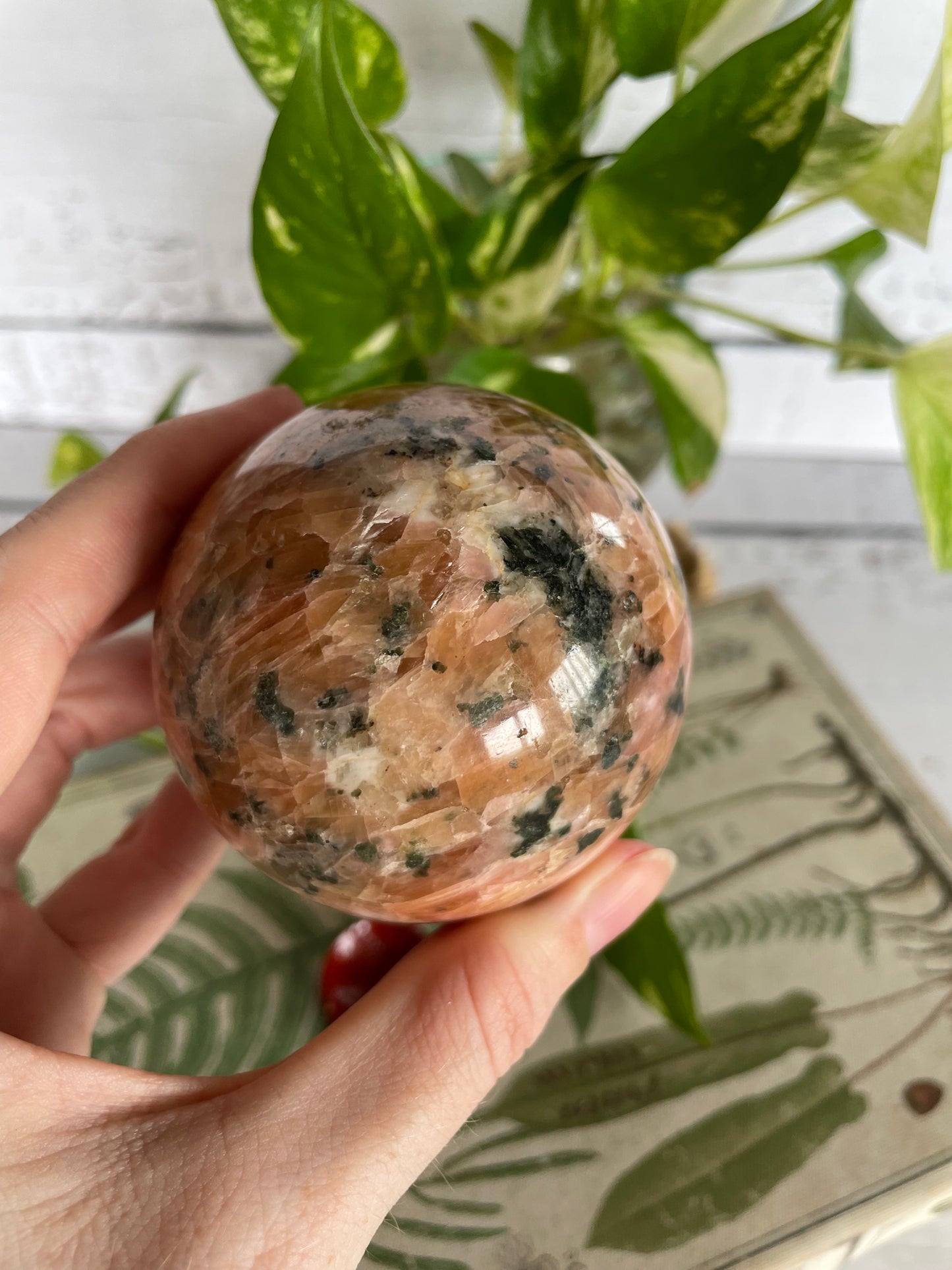 Orchid Calcite Sphere Includes Wooden Holder
