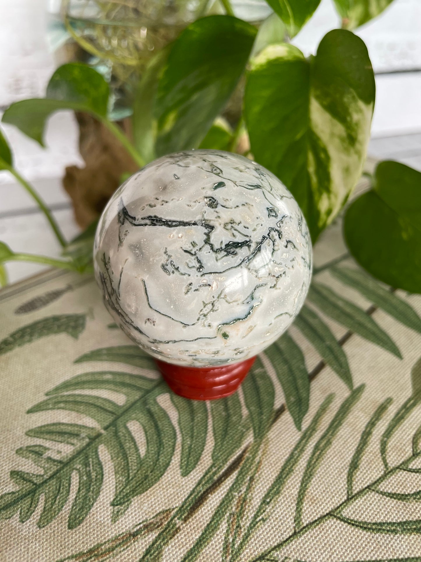 Tree Agate Sphere Includes Wooden Holder