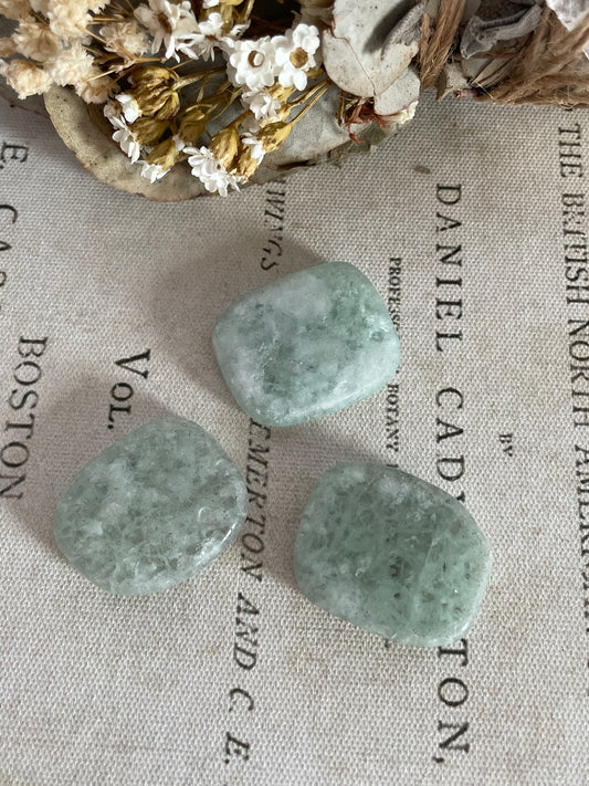 INTUITIVELY CHOSEN ~ Green Fluorite Flat/Bra Stone