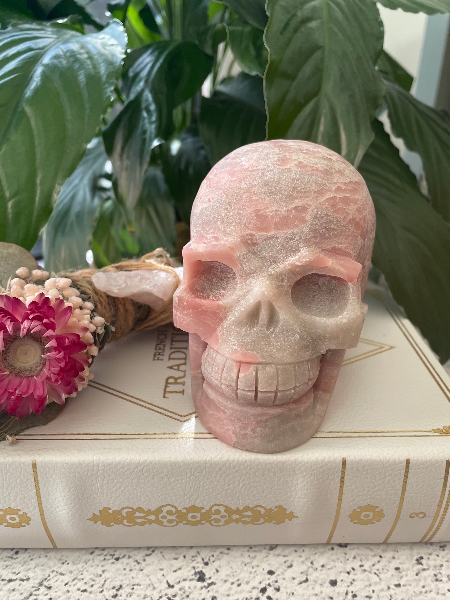 Pink Opal Skull ~ 1.2kgs