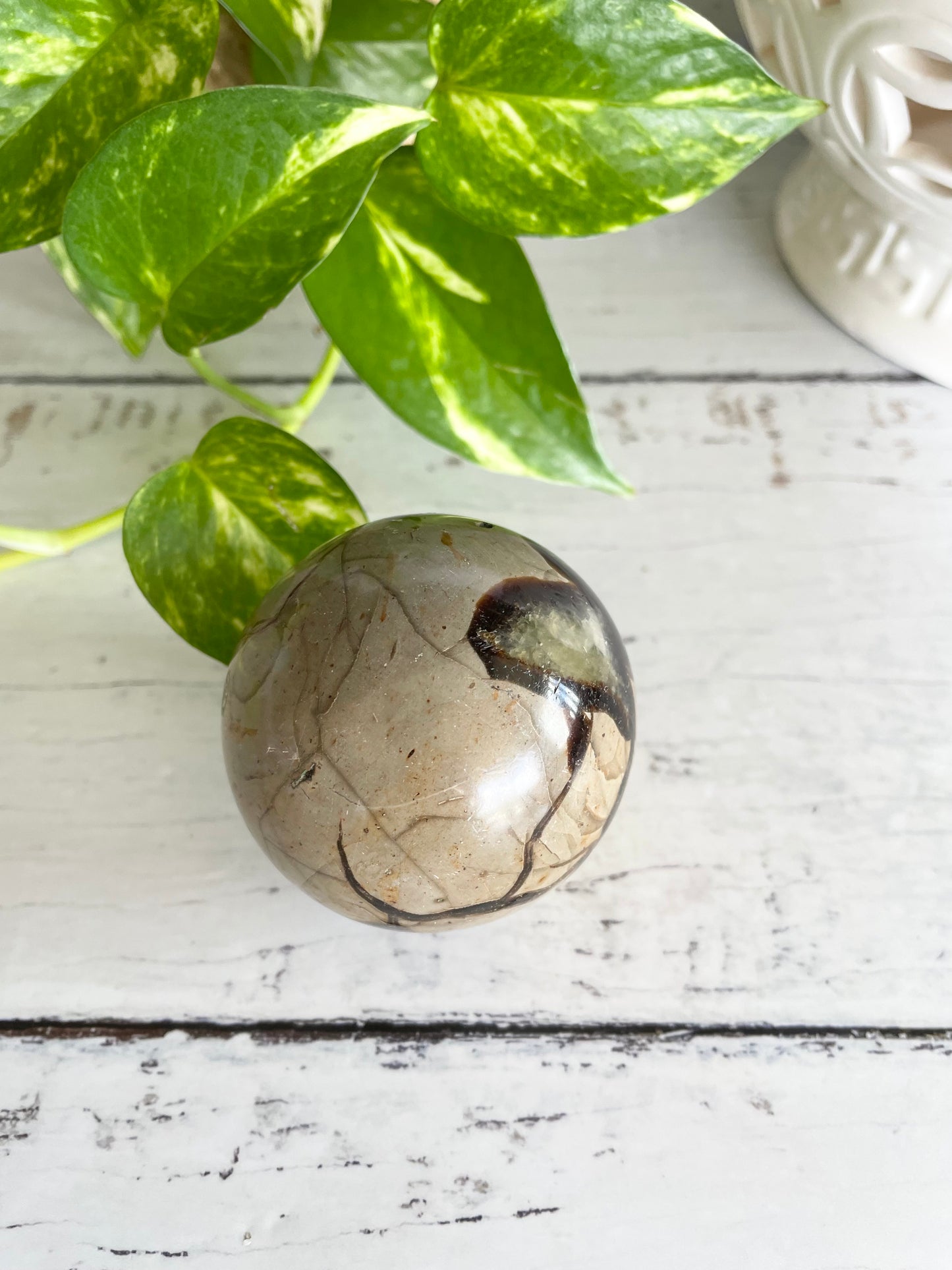 Septarian Sphere Includes Wooden Holder
