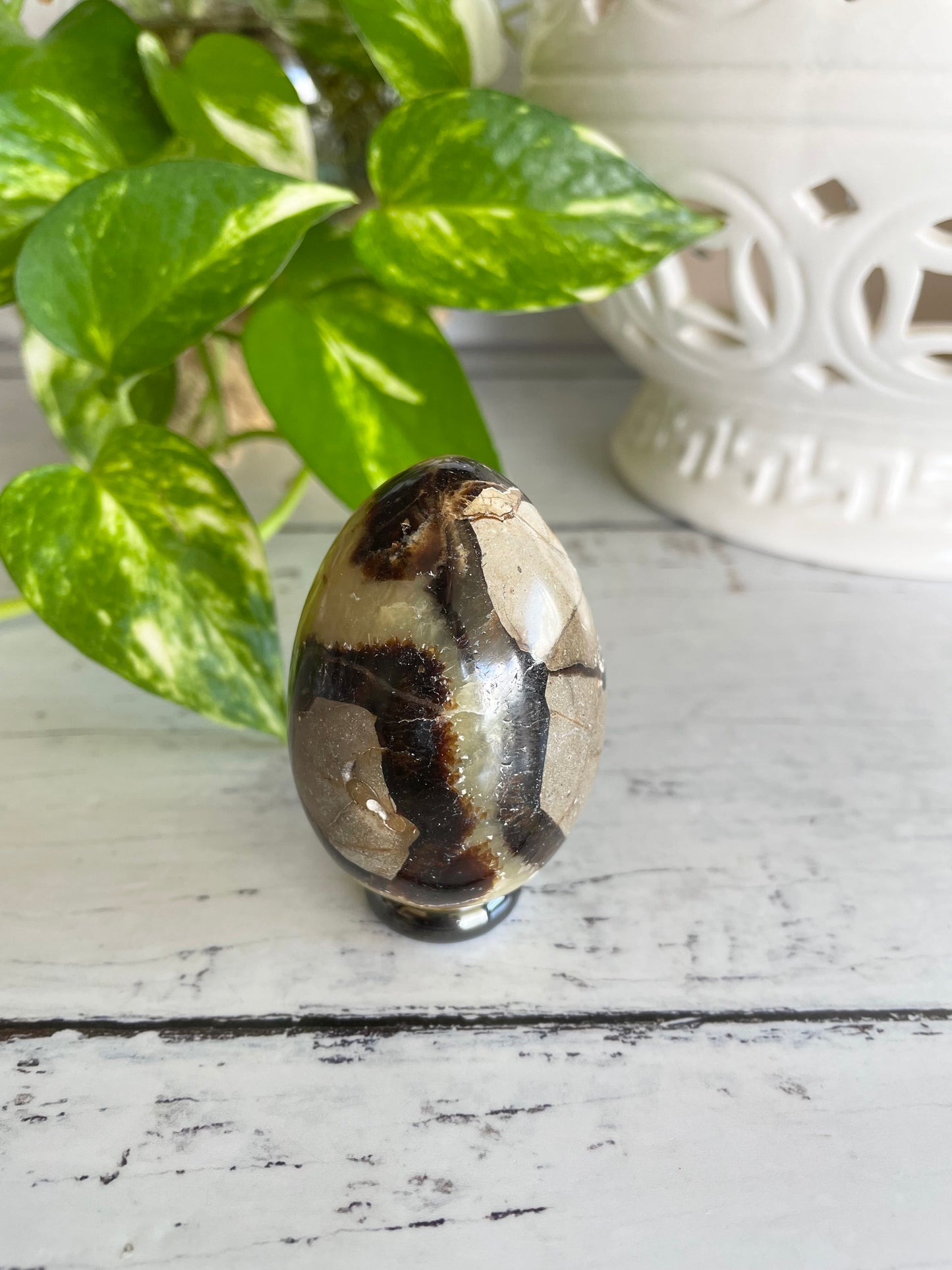 Septarian Egg Includes Hematite Ring