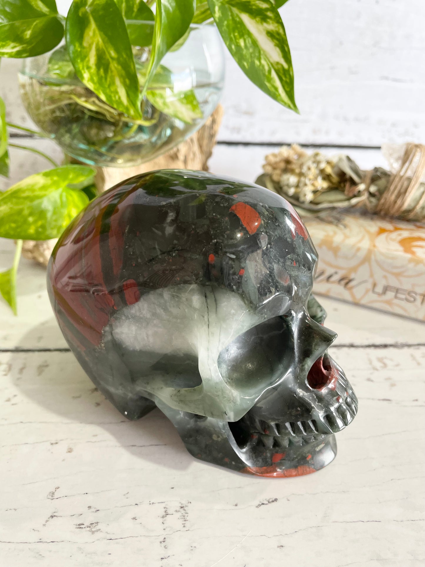 African Bloodstone Skull ~ 1.3kgs