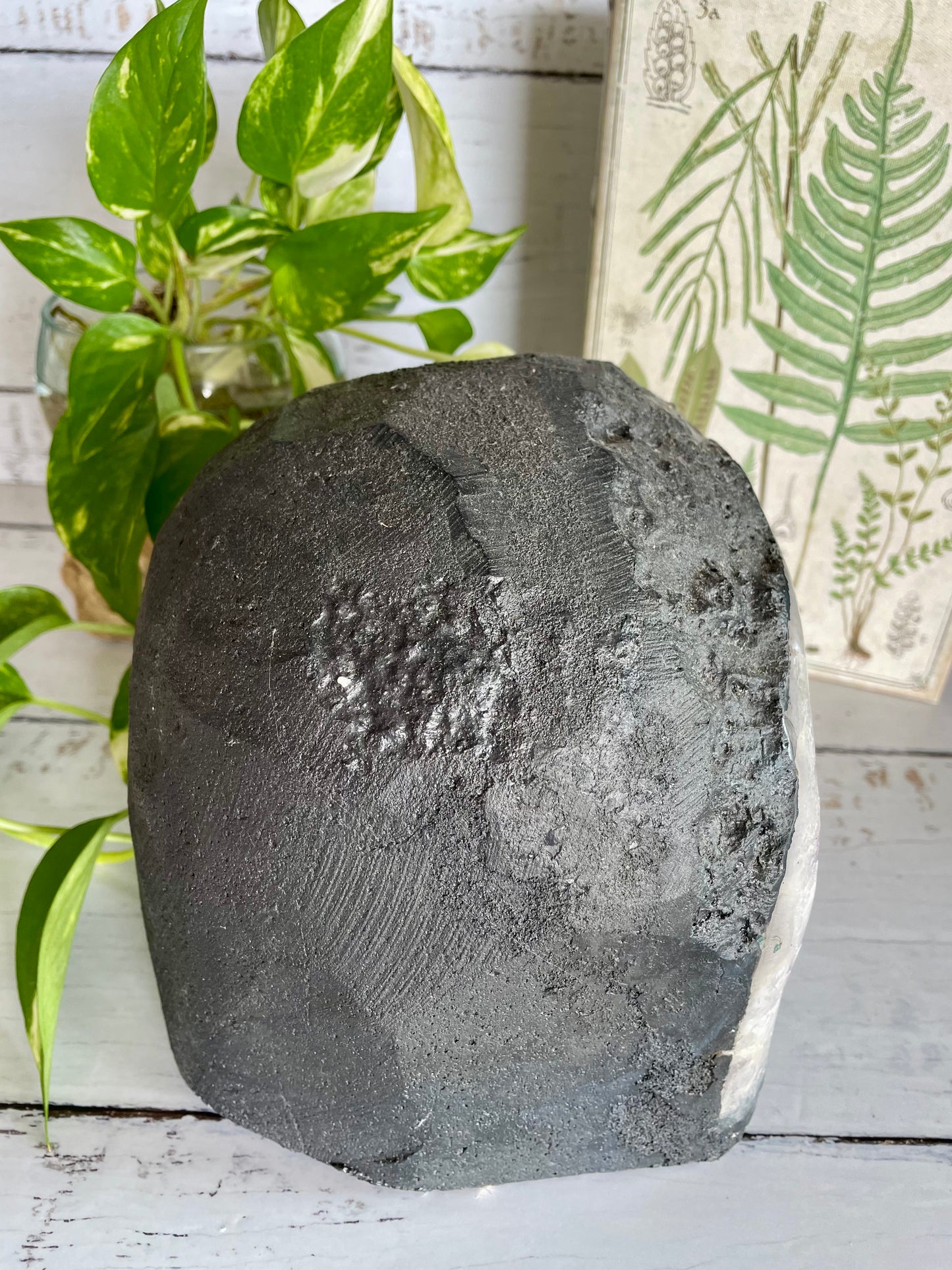Amethyst Geode ~7.3kgs