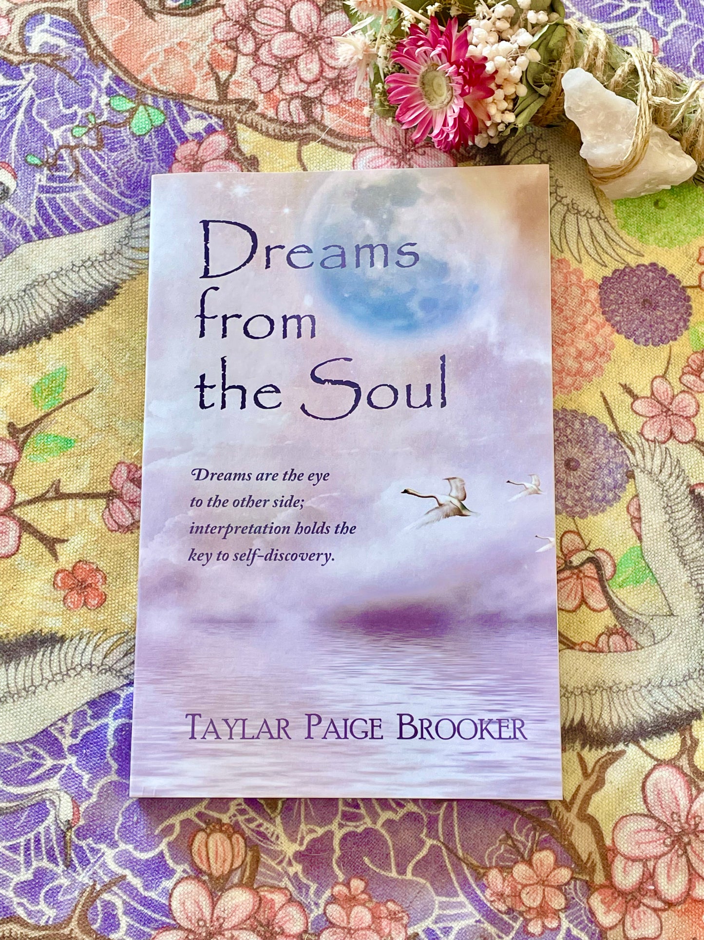 Dreams from the Soul ~ Taylar