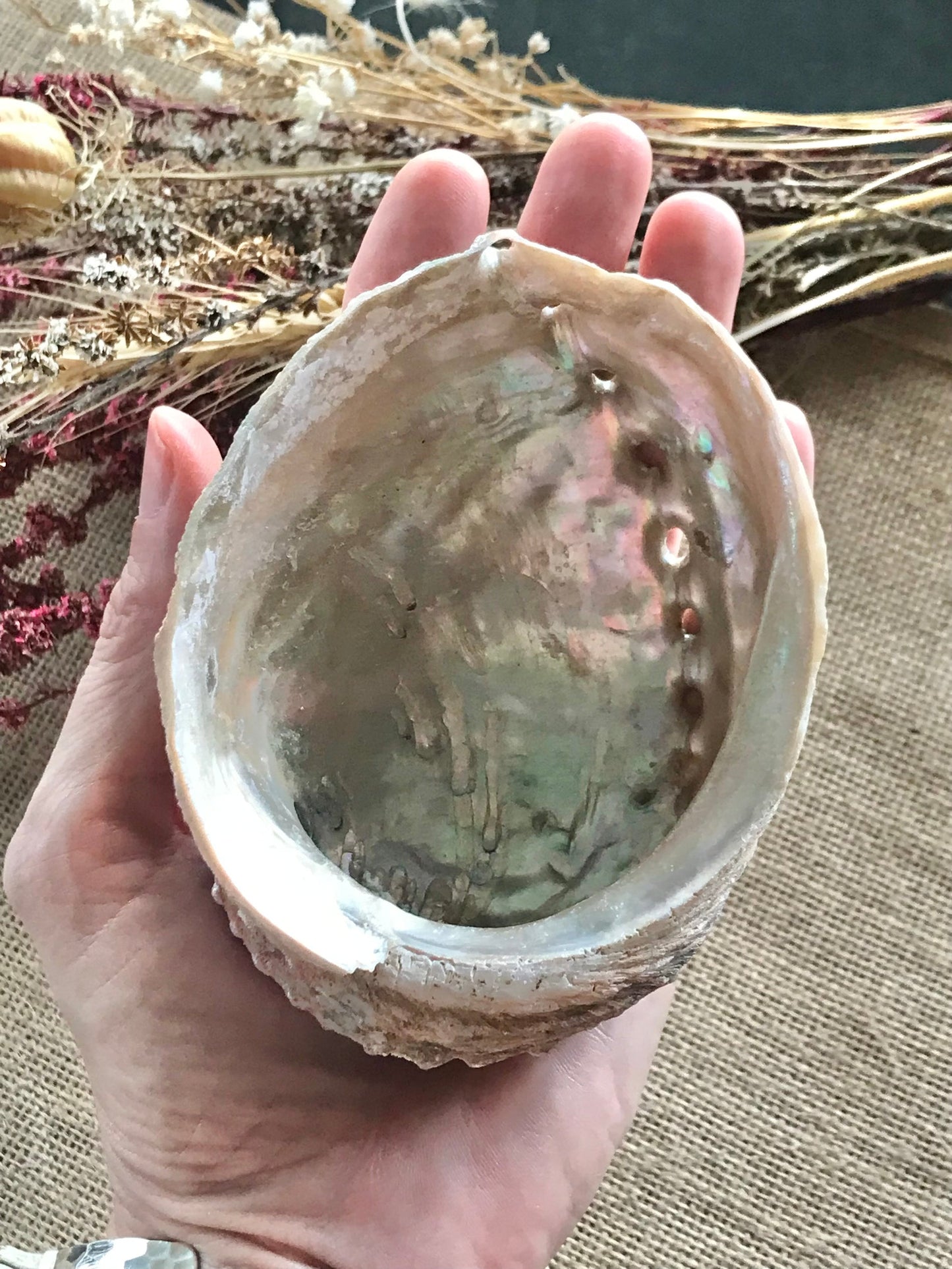 Abalone Shell /Smoke Medicine  ~ Set of 4