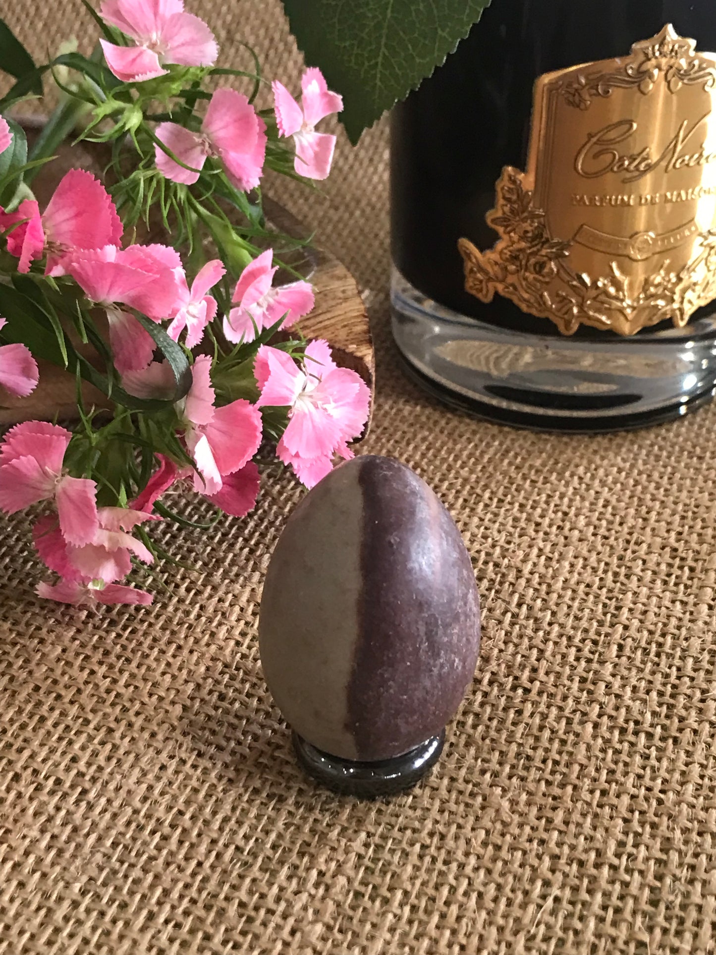 Shiva Narmada Egg includes Hematite Holder