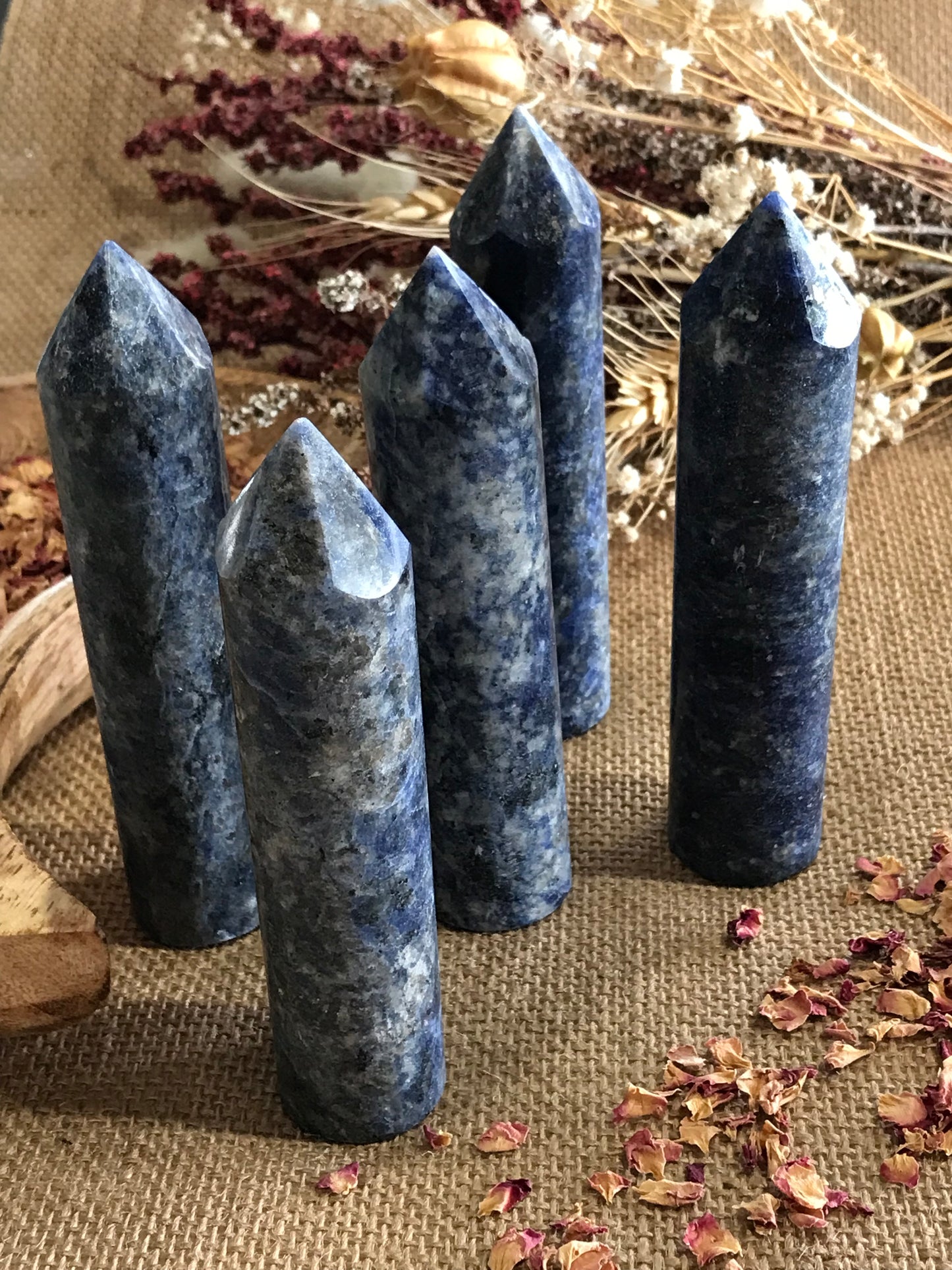 INTUITIVELY CHOSEN ~ Sodalite Tower