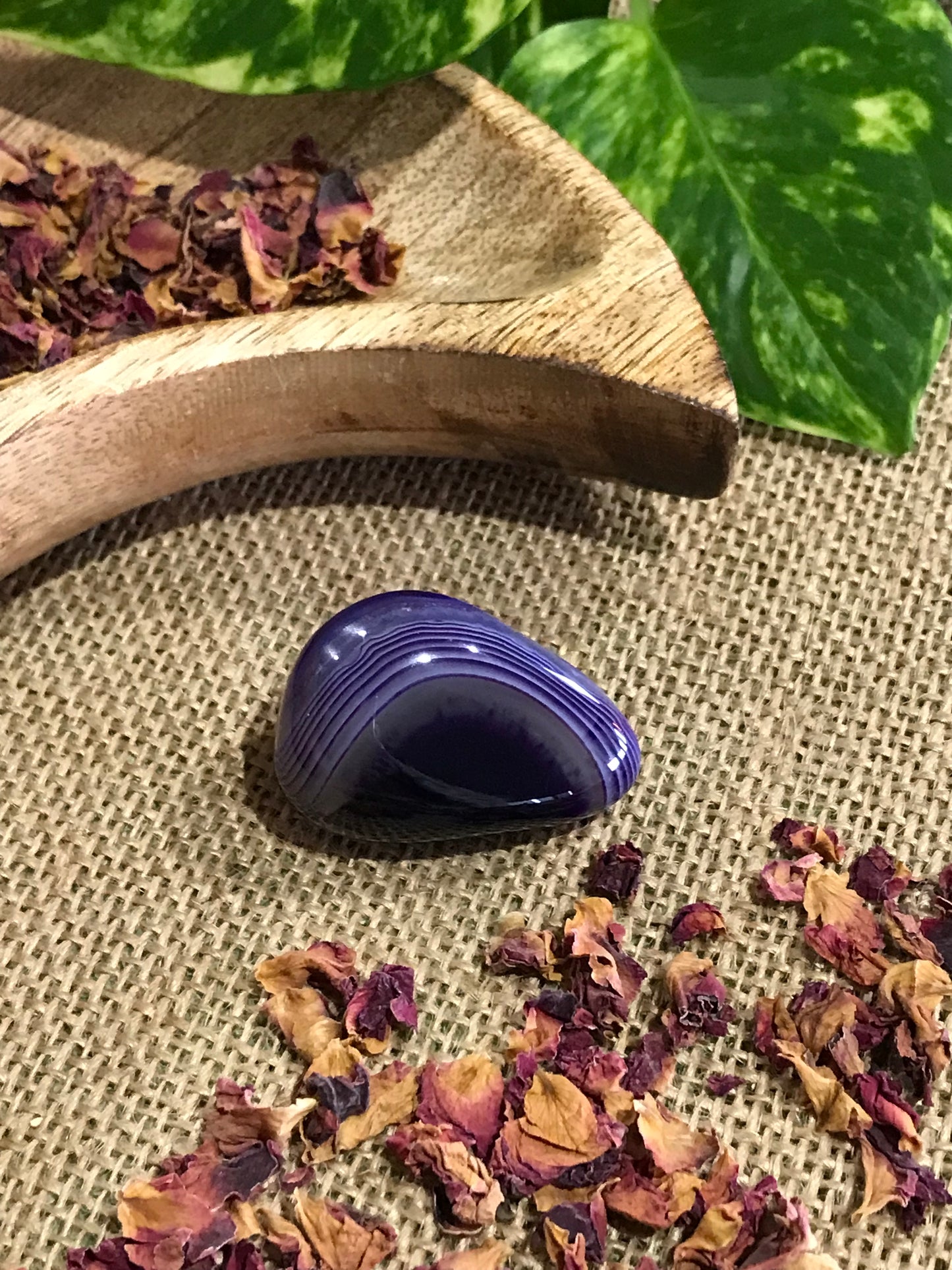 Dyed Agate Freeform ~ Purple