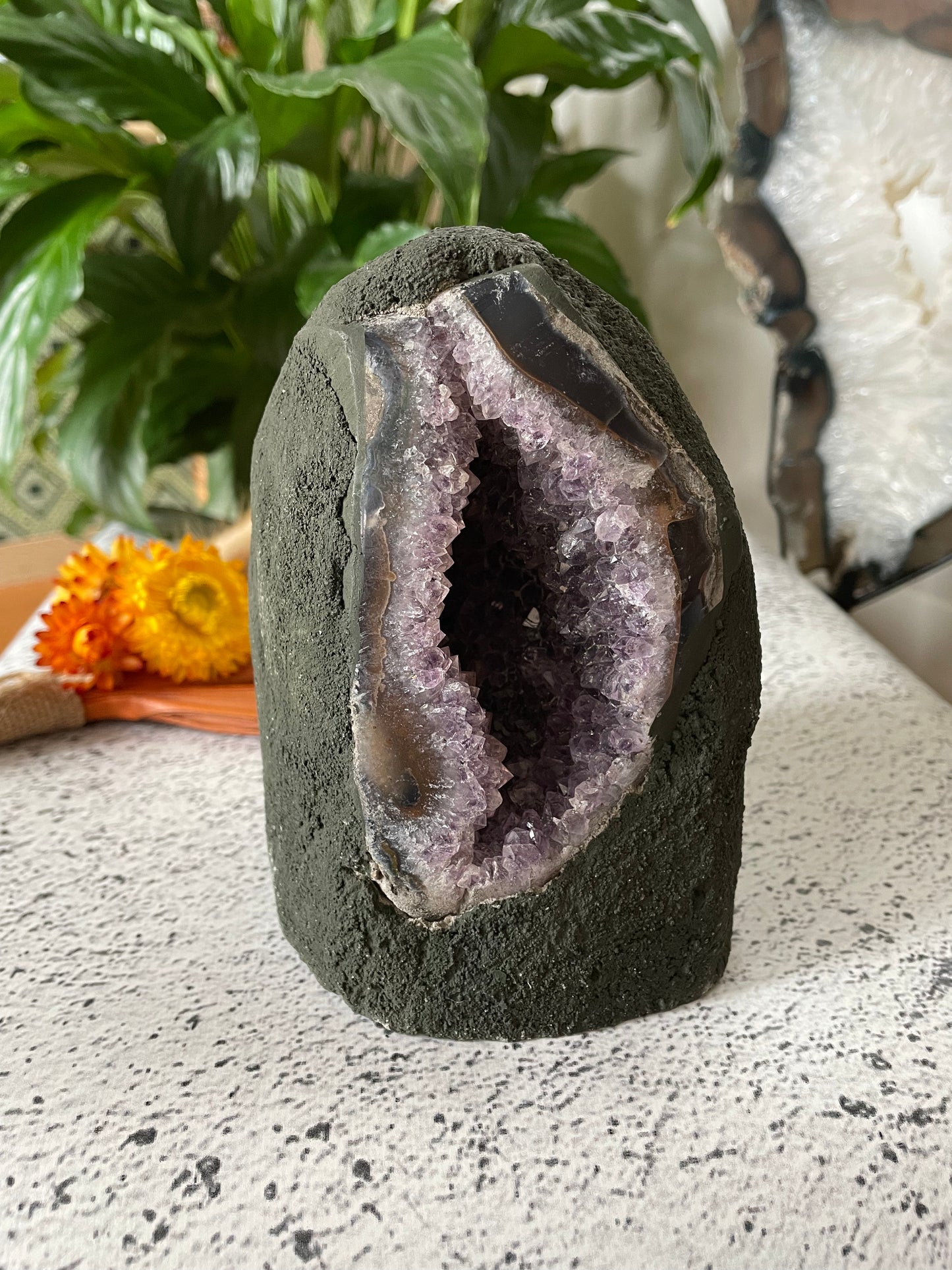 Amethyst Geode ~ 1.8kgs