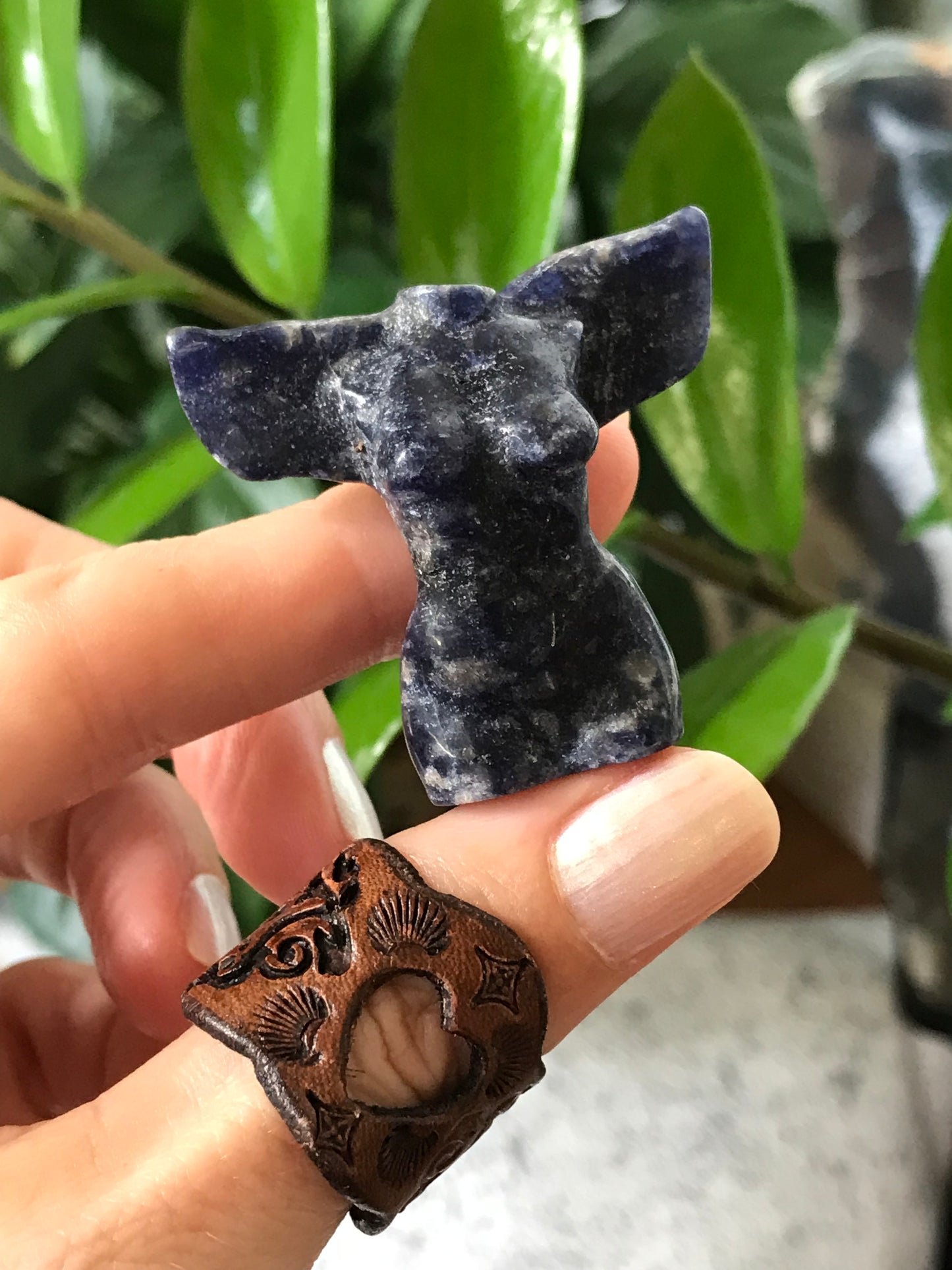 Intuitively Chosen Winged Goddess ~ Sodalite