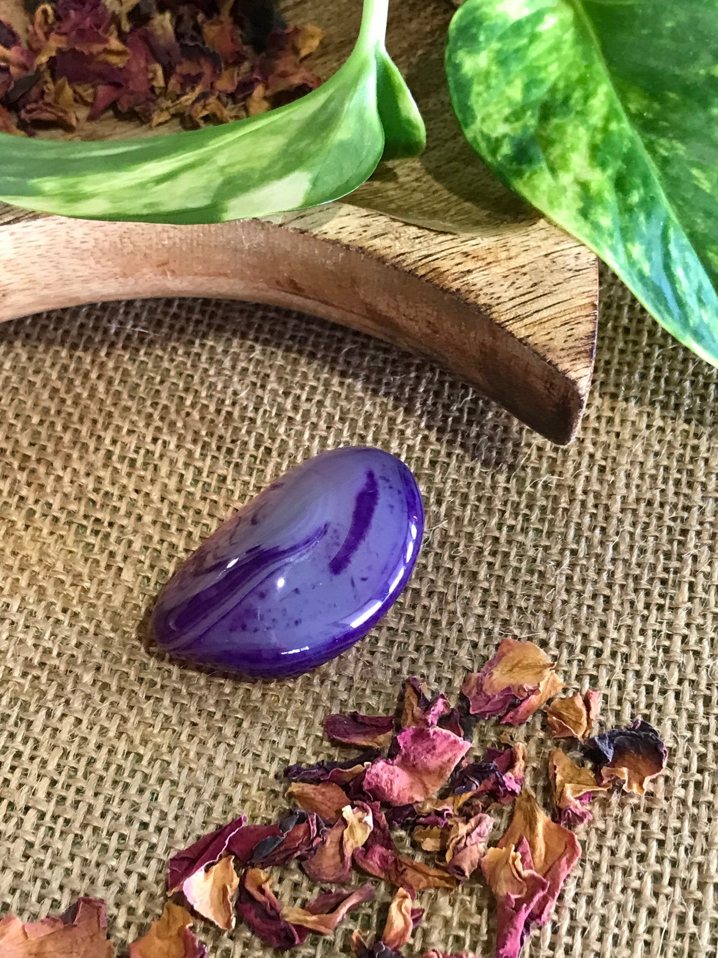 Dyed Agate Freeform ~ Purple