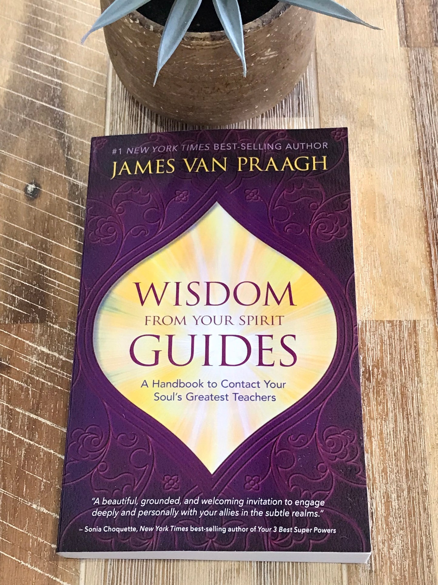 Wisdom from your Spirit Guides
