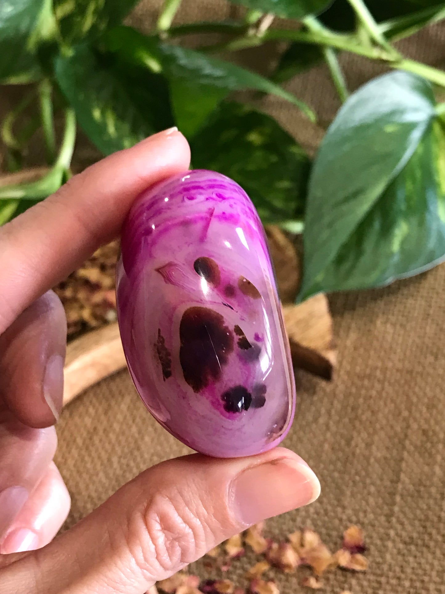 Dyed Agate Freeform ~ Pink