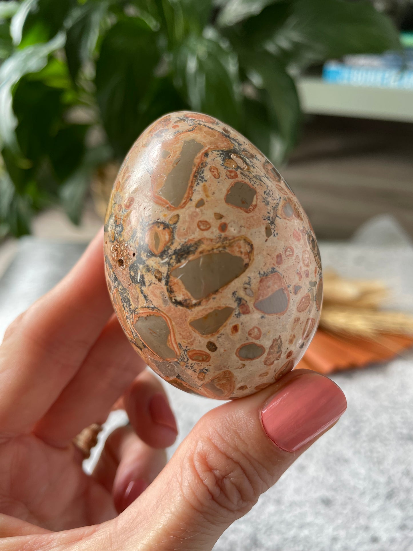 Leopard Skin Jasper Egg Includes Hematite Ring