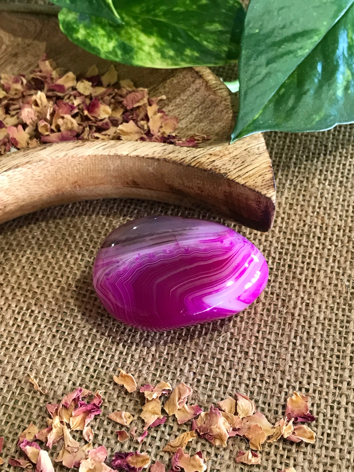 Dyed Agate Freeform ~ Pink