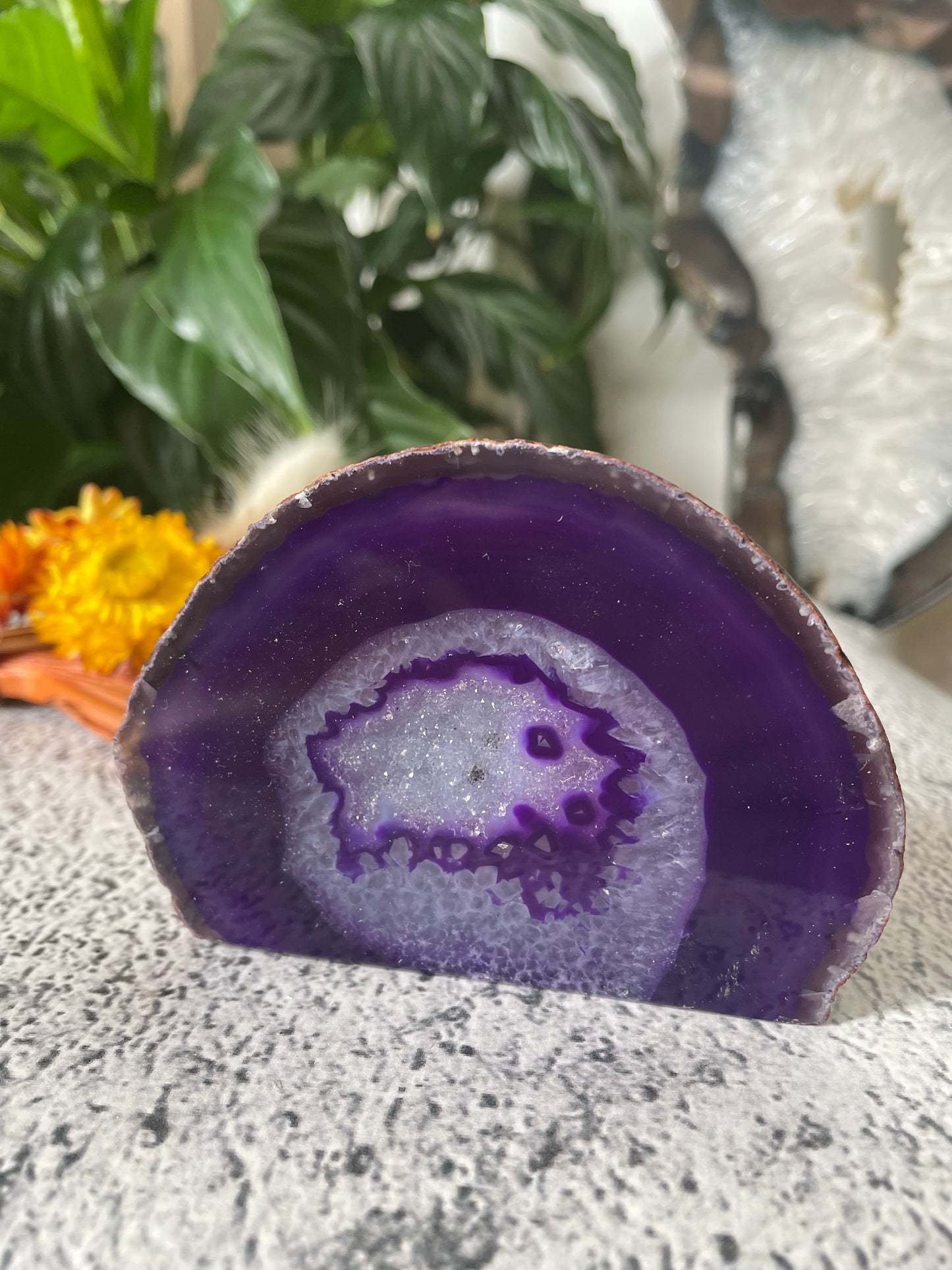Agate druzy Geode ~ Purple