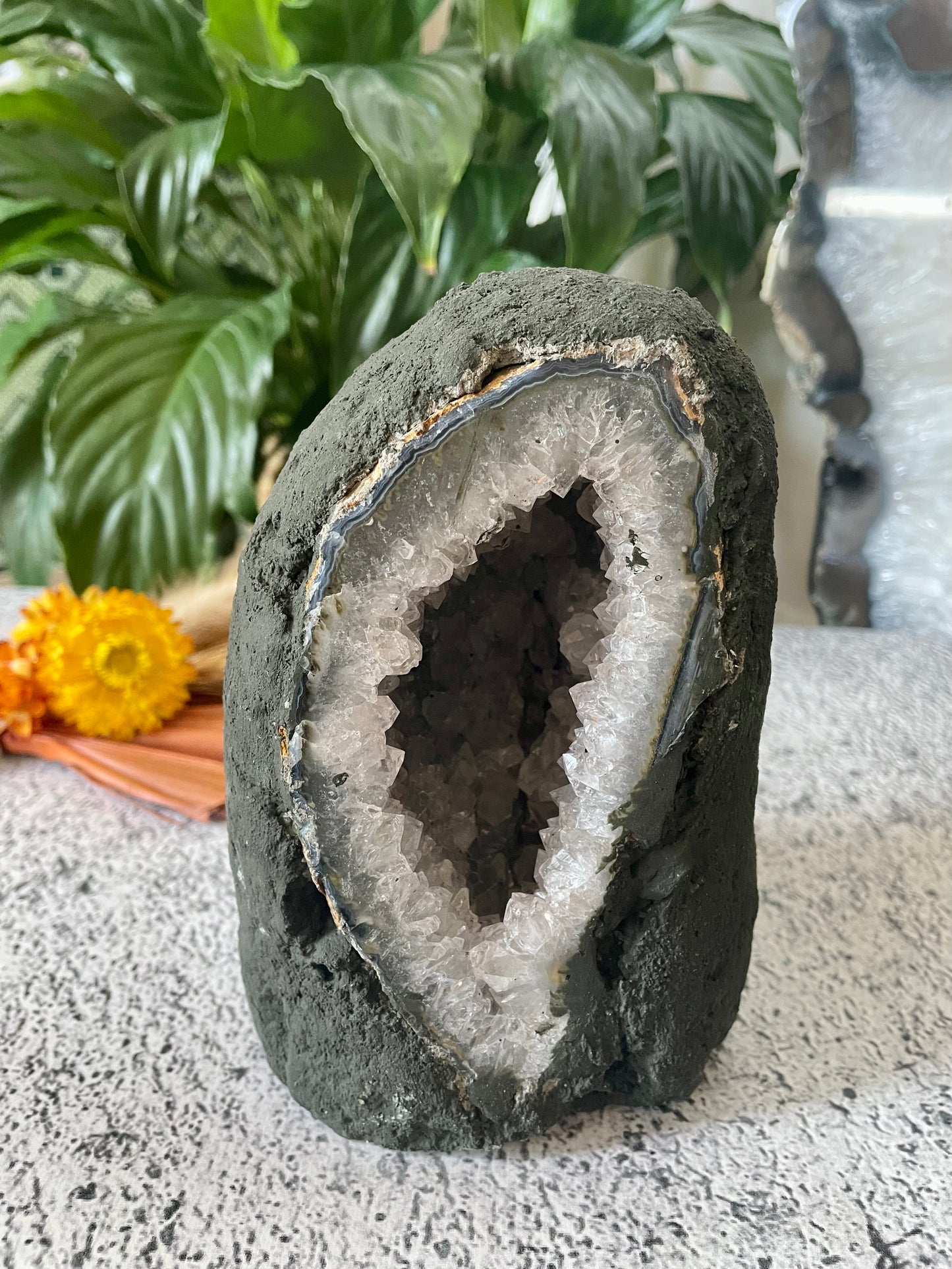 Amethyst Geode ~ 1.7kgs