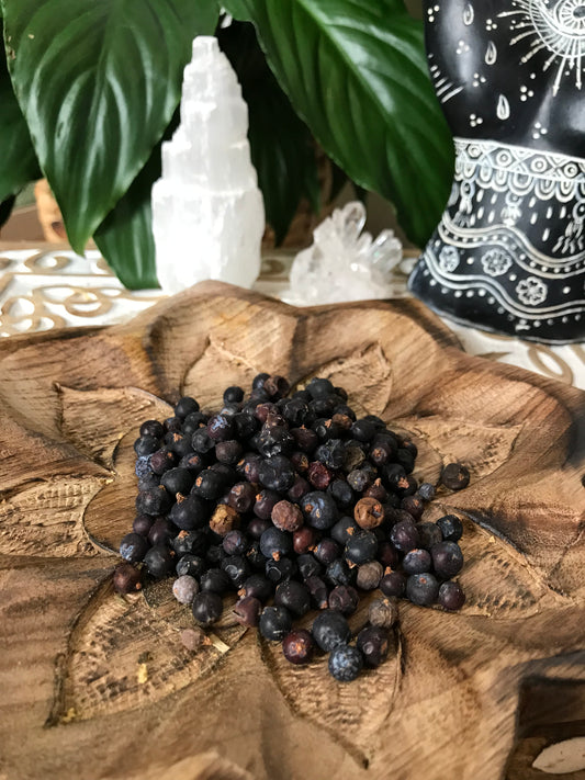 Apothecary Herb for Lust/Protection ~ Juniper Berries
