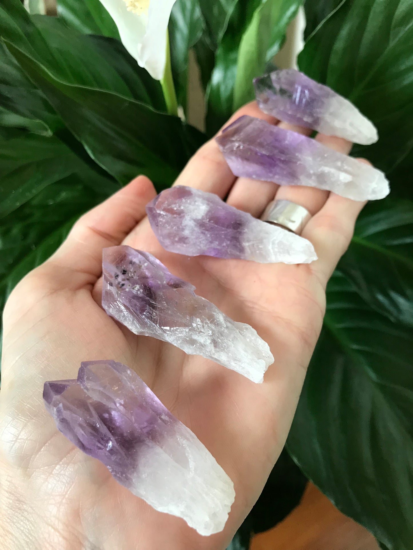 Intuitively Chosen ~ Amethyst Natural Point